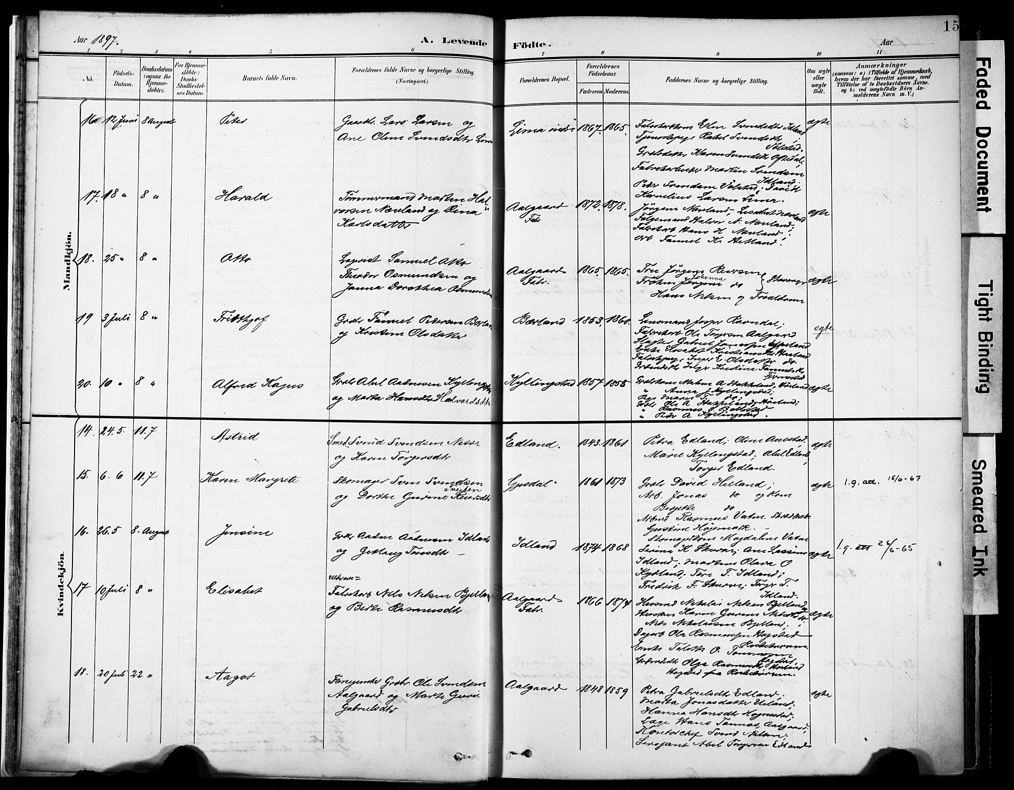 Lye sokneprestkontor, AV/SAST-A-101794/001/30BA/L0012: Parish register (official) no. A 11, 1896-1909, p. 15