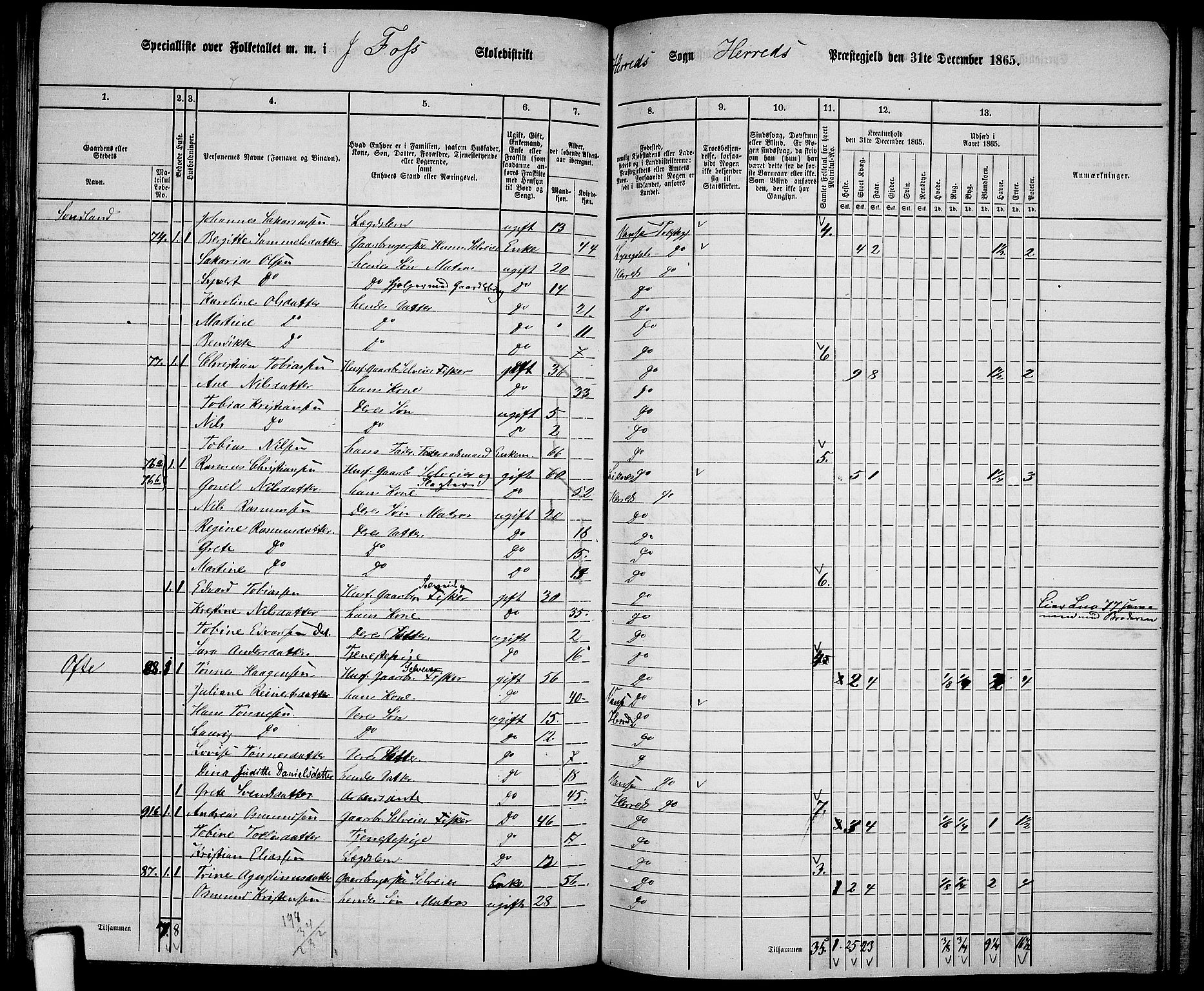 RA, 1865 census for Herad, 1865, p. 28