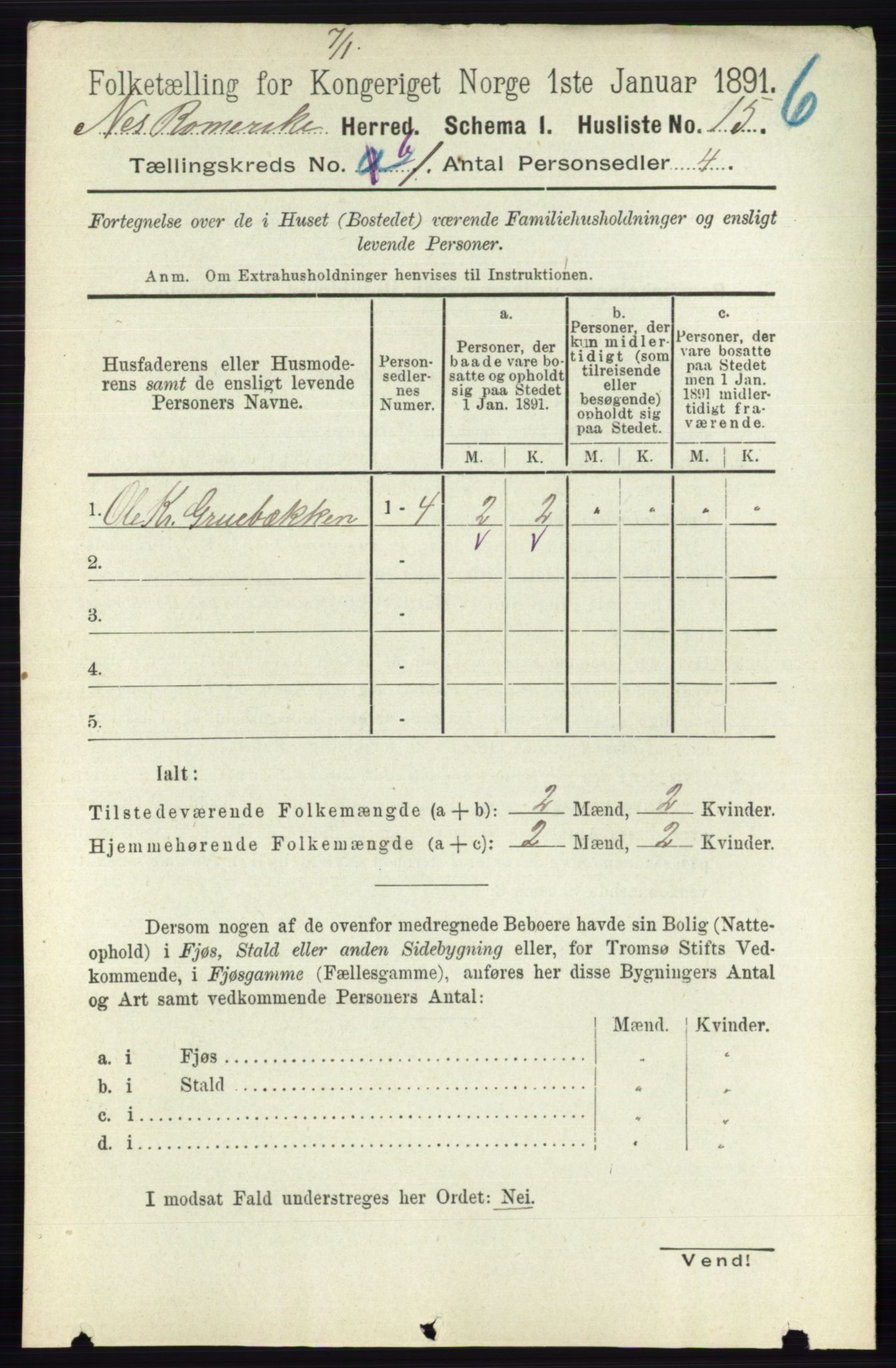 RA, 1891 census for 0236 Nes, 1891, p. 704