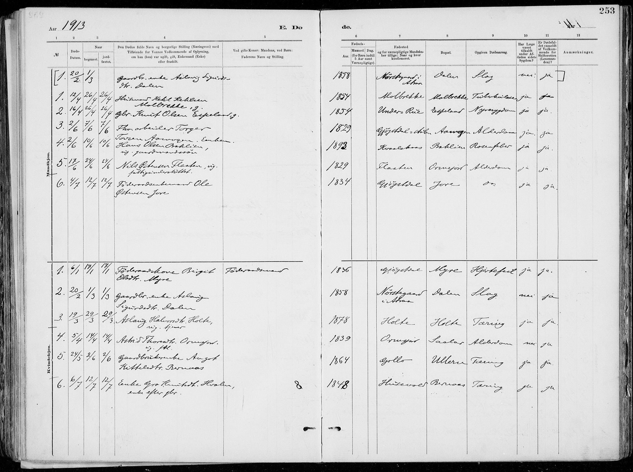 Tinn kirkebøker, SAKO/A-308/F/Fa/L0007: Parish register (official) no. I 7, 1878-1922, p. 253