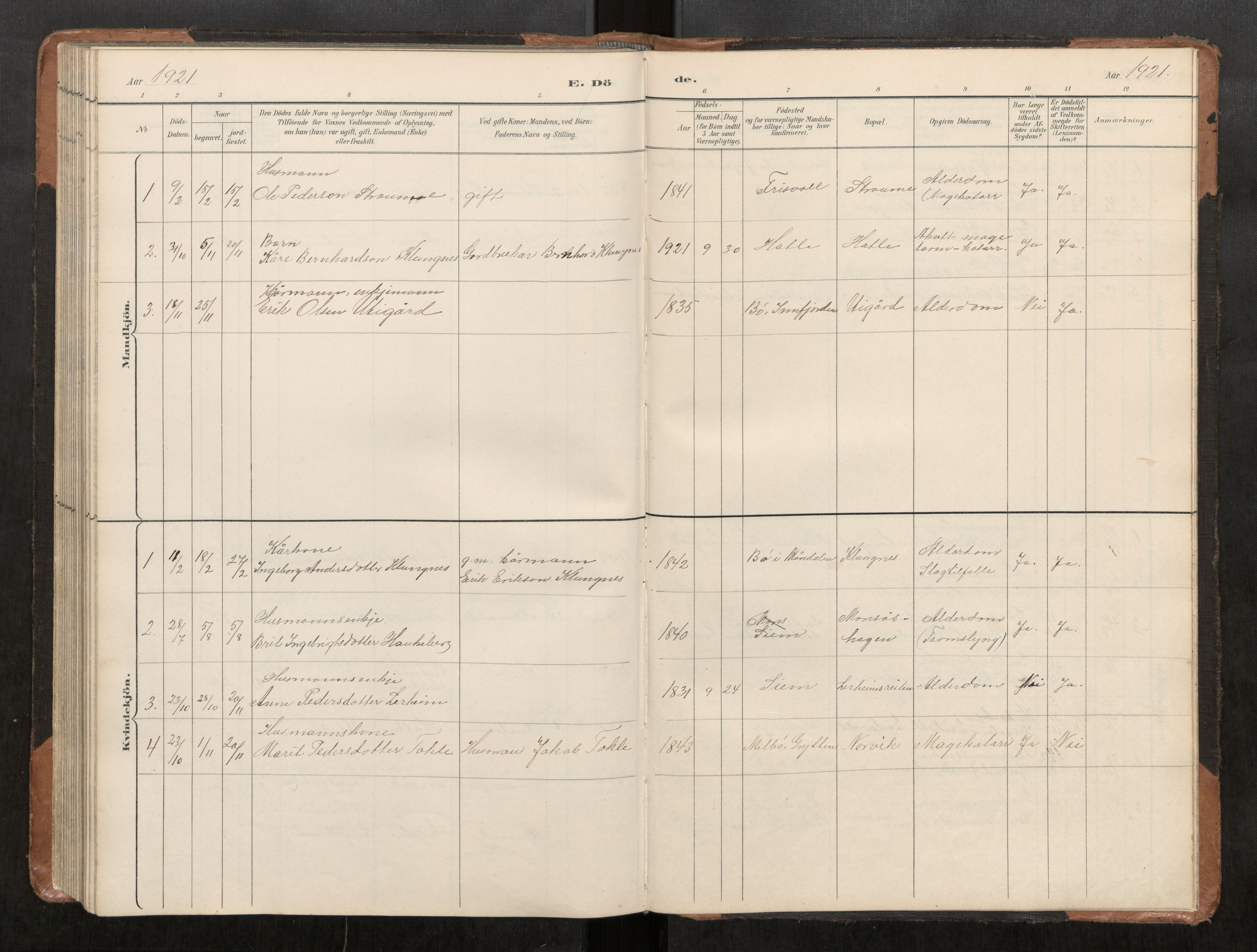 Ministerialprotokoller, klokkerbøker og fødselsregistre - Møre og Romsdal, AV/SAT-A-1454/542/L0561: Parish register (copy) no. 542C03, 1893-1931