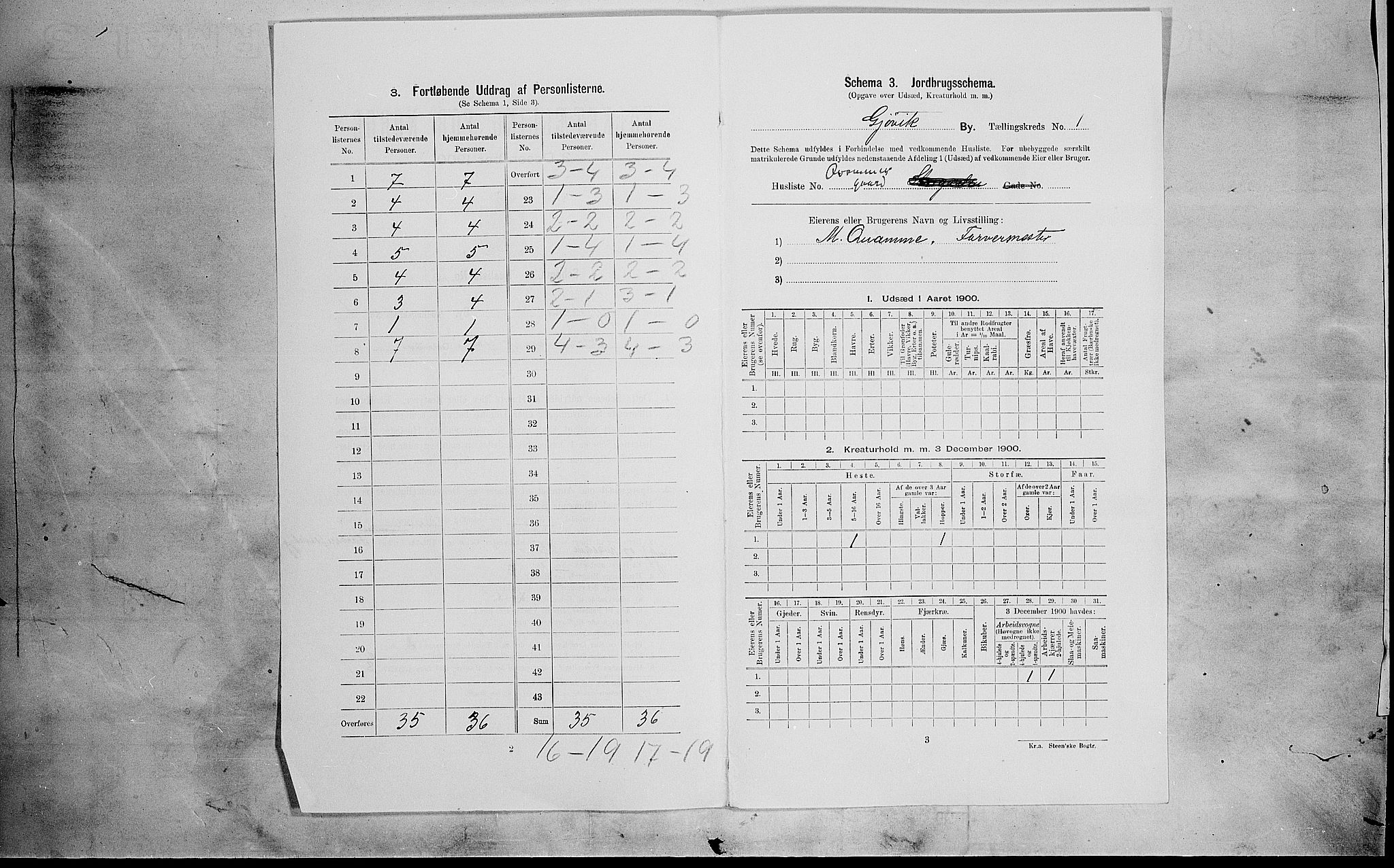 SAH, 1900 census for Gjøvik, 1900, p. 173