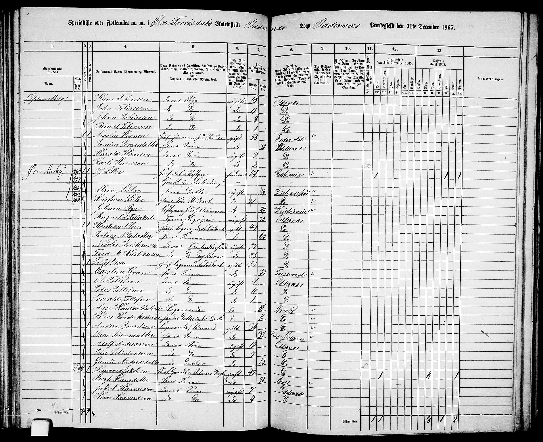 RA, 1865 census for Oddernes, 1865, p. 71