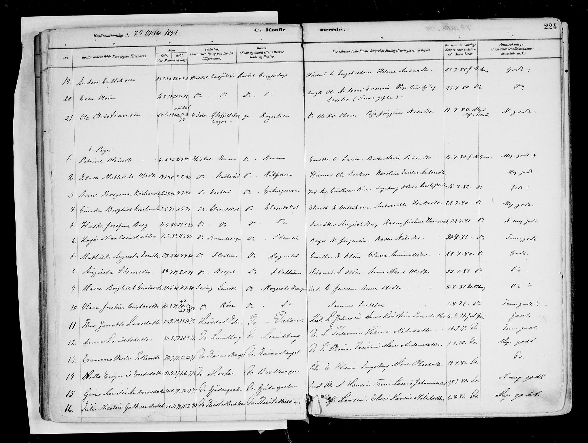 Hurdal prestekontor Kirkebøker, AV/SAO-A-10889/F/Fa/L0007: Parish register (official) no. I 7, 1878-1906, p. 224