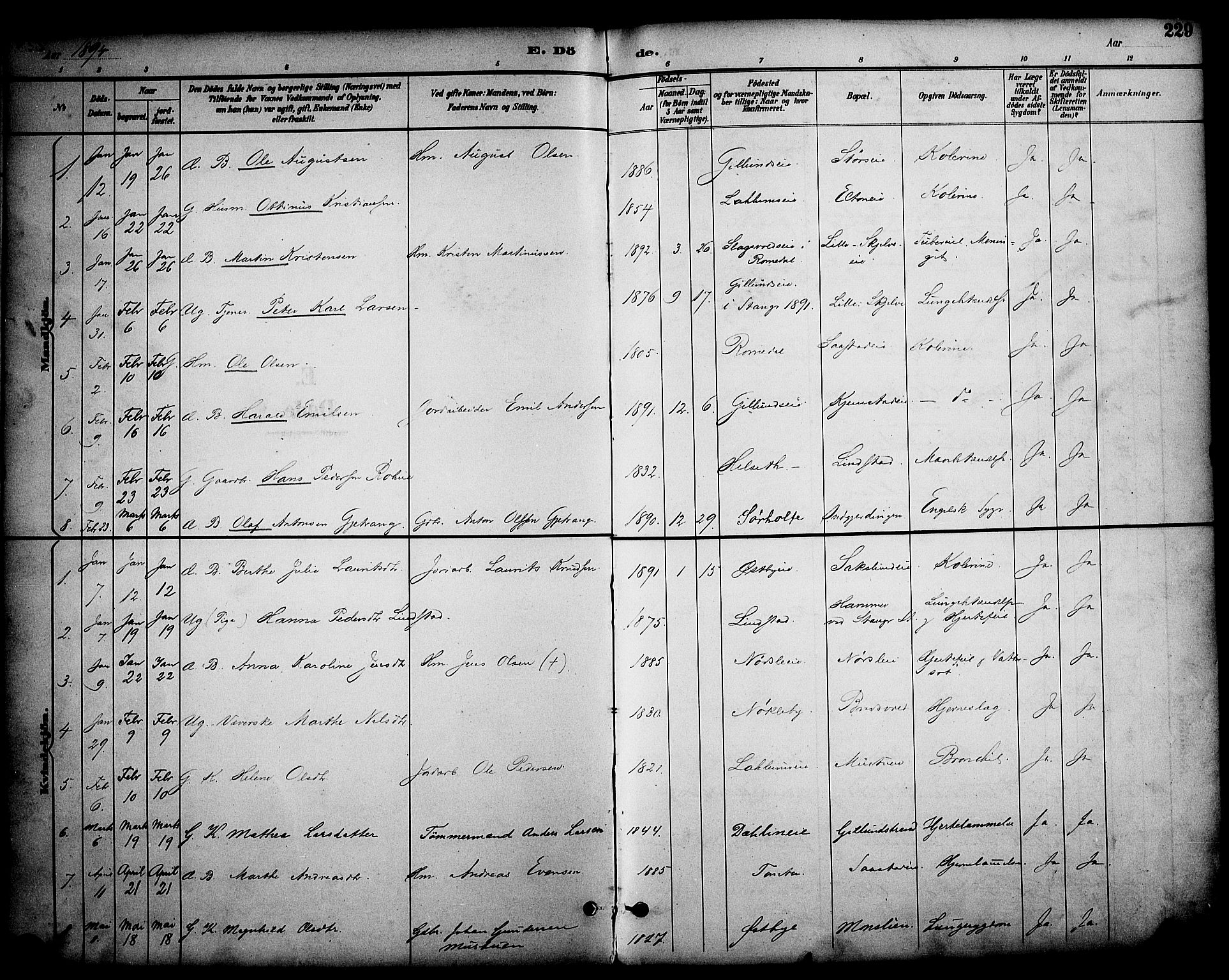 Stange prestekontor, SAH/PREST-002/K/L0020: Parish register (official) no. 20, 1894-1905, p. 229