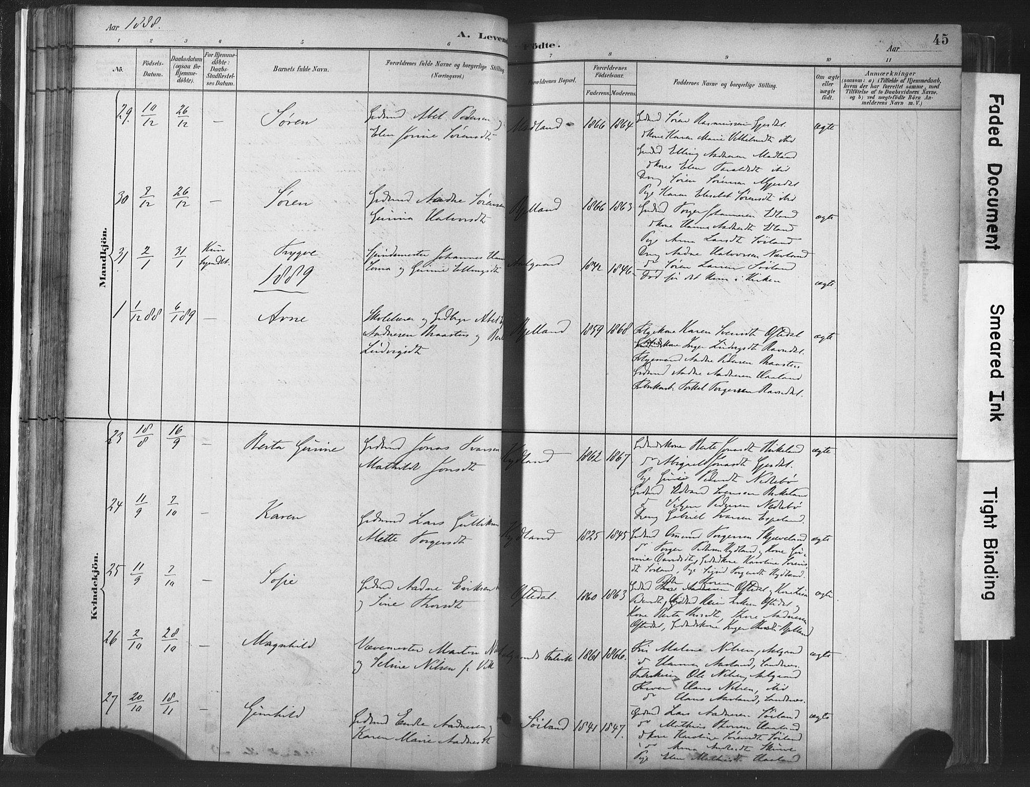 Lye sokneprestkontor, SAST/A-101794/001/30BA/L0010: Parish register (official) no. A 10, 1881-1896, p. 45