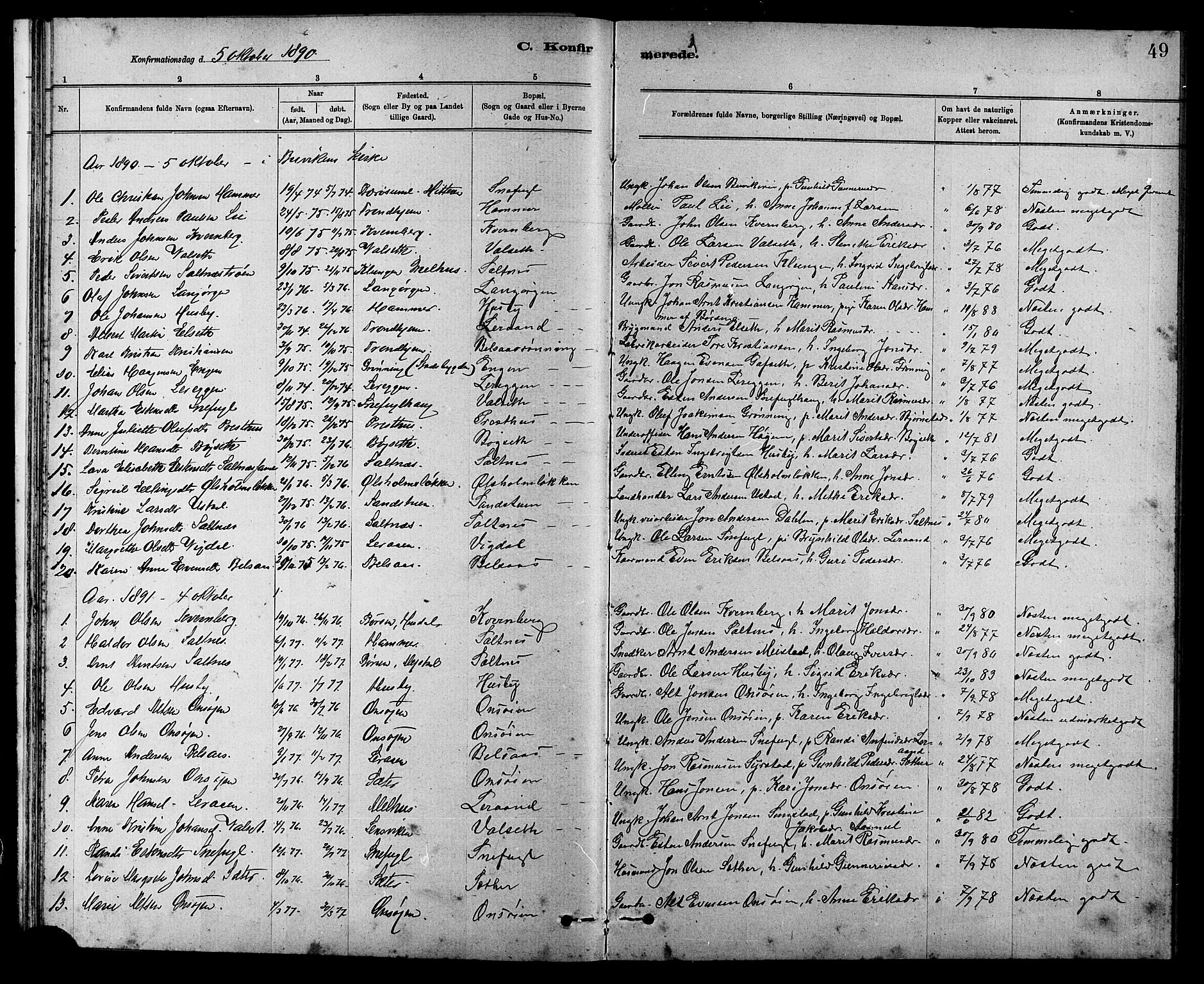 Ministerialprotokoller, klokkerbøker og fødselsregistre - Sør-Trøndelag, SAT/A-1456/666/L0790: Parish register (copy) no. 666C03, 1885-1908, p. 49