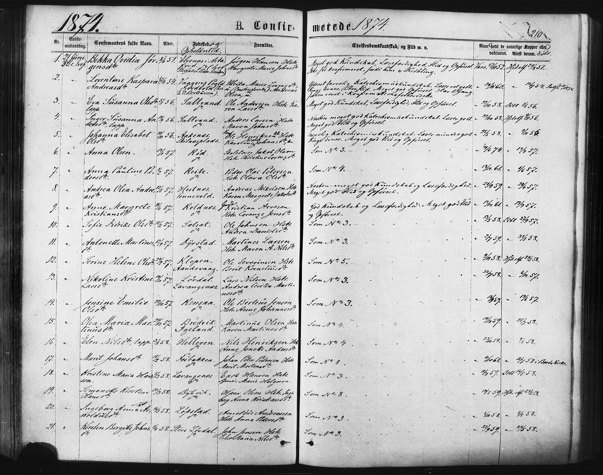 Ibestad sokneprestembete, SATØ/S-0077/H/Ha/Haa/L0010kirke: Parish register (official) no. 10, 1869-1879, p. 210