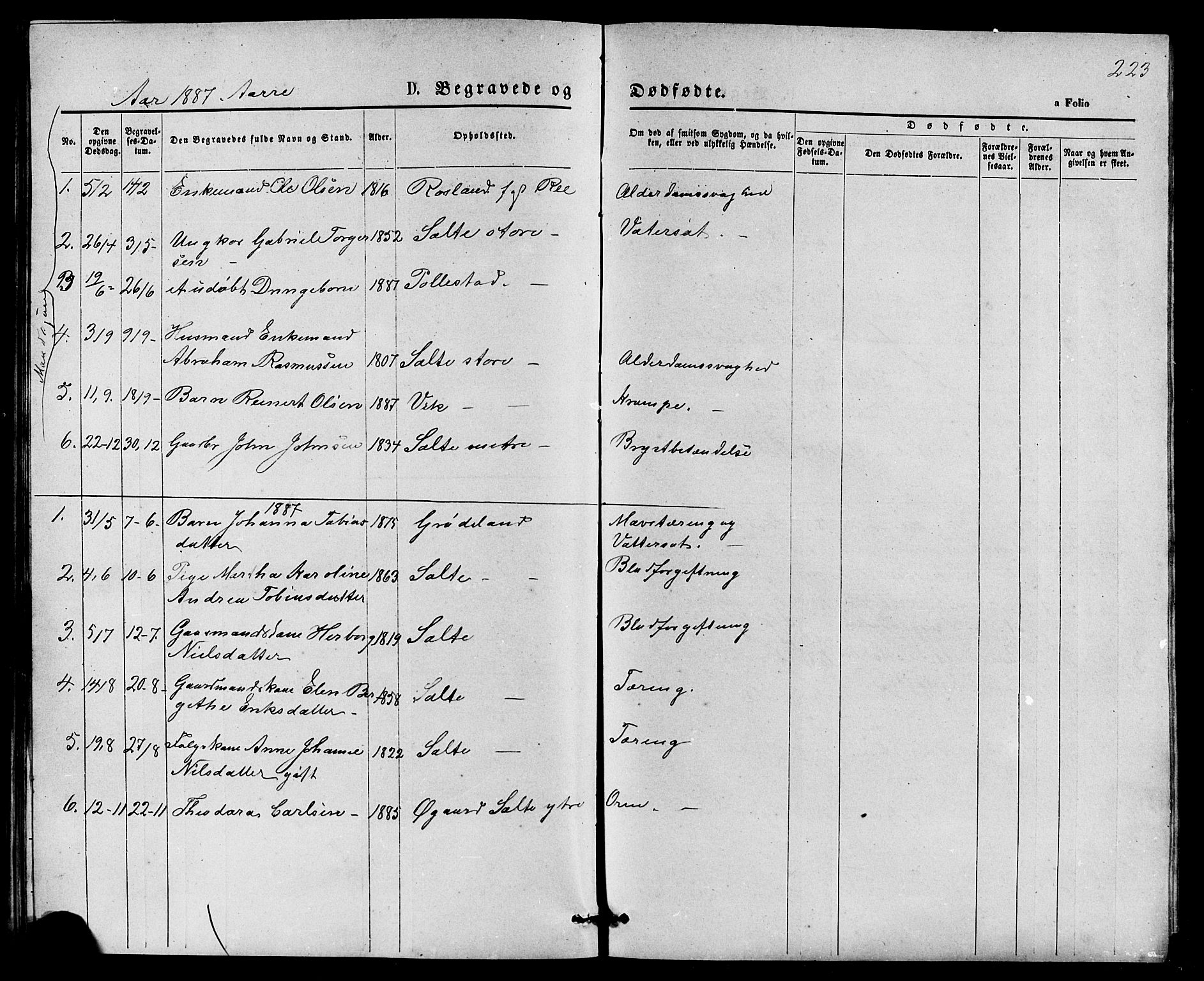 Klepp sokneprestkontor, AV/SAST-A-101803/001/3/30BB/L0003: Parish register (copy) no. B 3, 1876-1888, p. 223