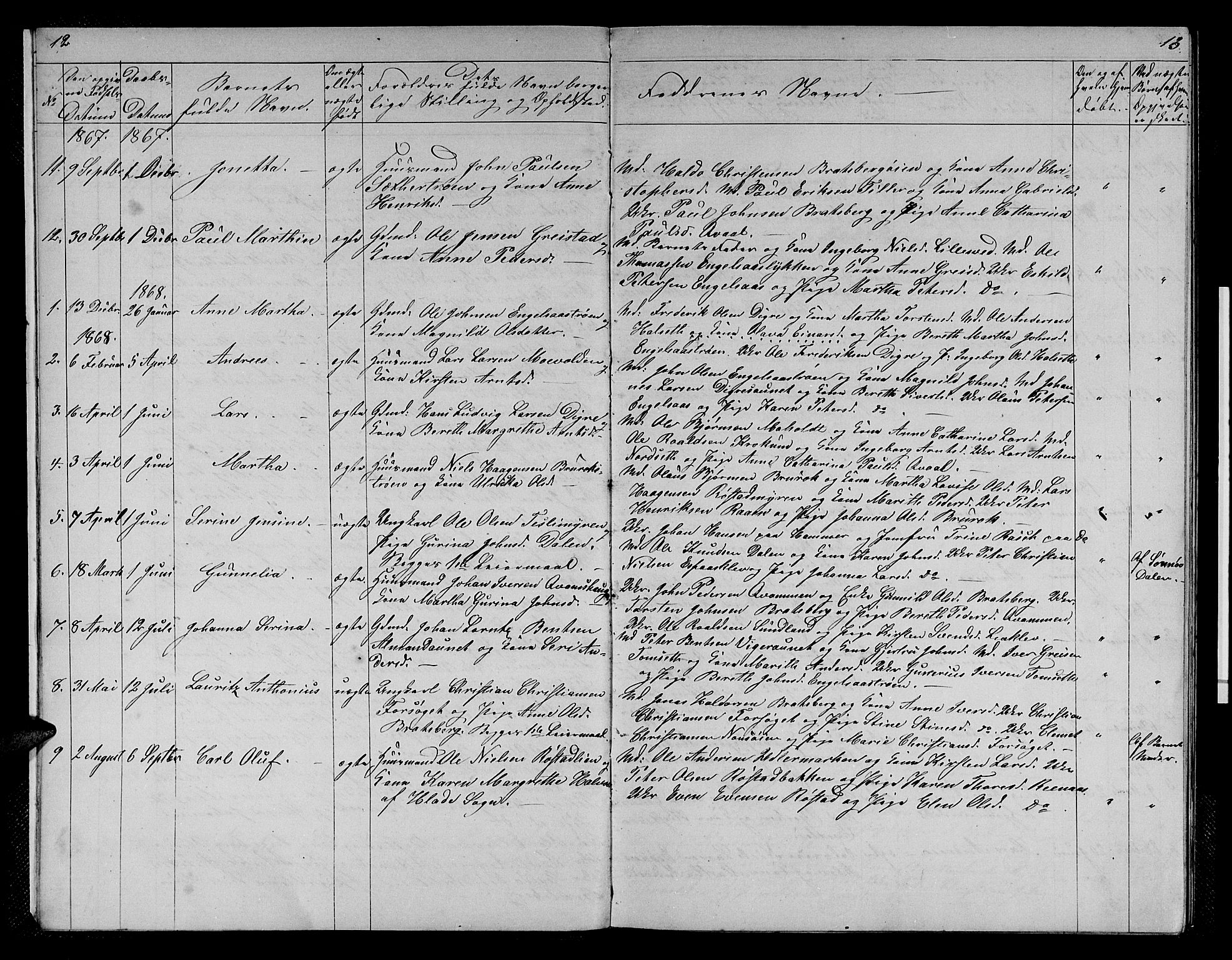 Ministerialprotokoller, klokkerbøker og fødselsregistre - Sør-Trøndelag, SAT/A-1456/608/L0340: Parish register (copy) no. 608C06, 1864-1889, p. 12-13