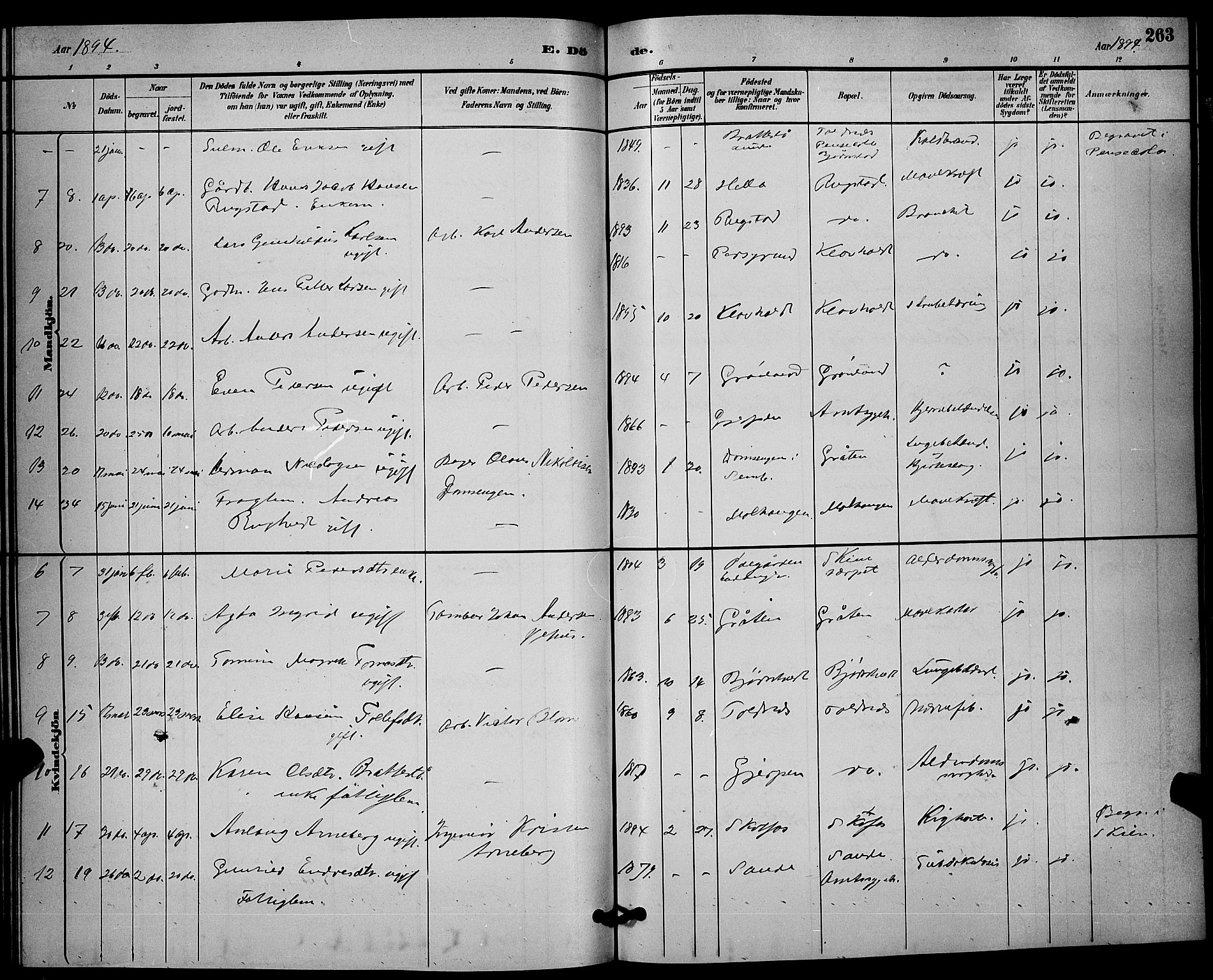 Solum kirkebøker, SAKO/A-306/G/Ga/L0007: Parish register (copy) no. I 7, 1884-1898, p. 263