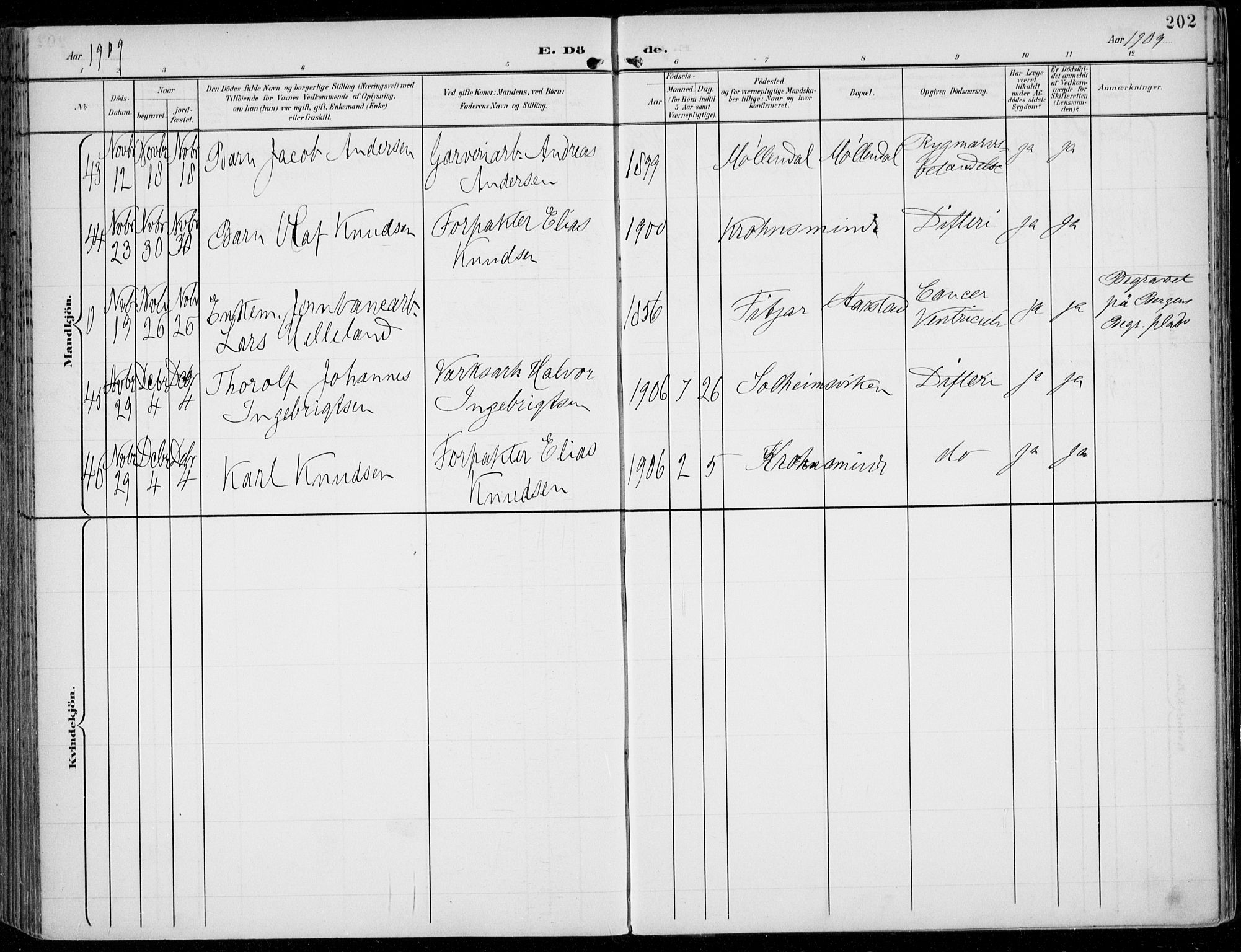 Årstad Sokneprestembete, AV/SAB-A-79301/H/Haa/L0009: Parish register (official) no. C 1, 1902-1918, p. 202