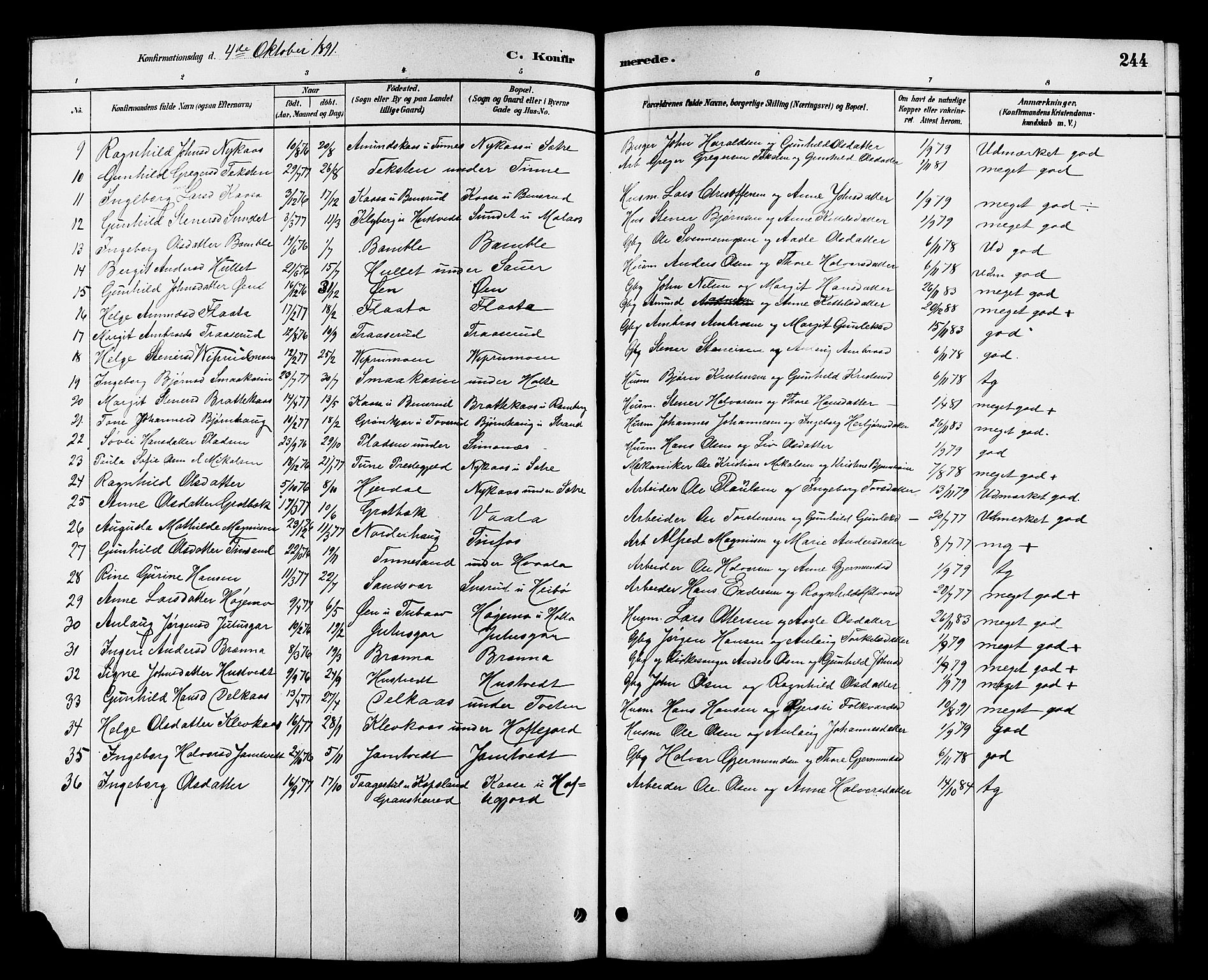 Heddal kirkebøker, SAKO/A-268/G/Ga/L0002: Parish register (copy) no. I 2, 1879-1908, p. 244