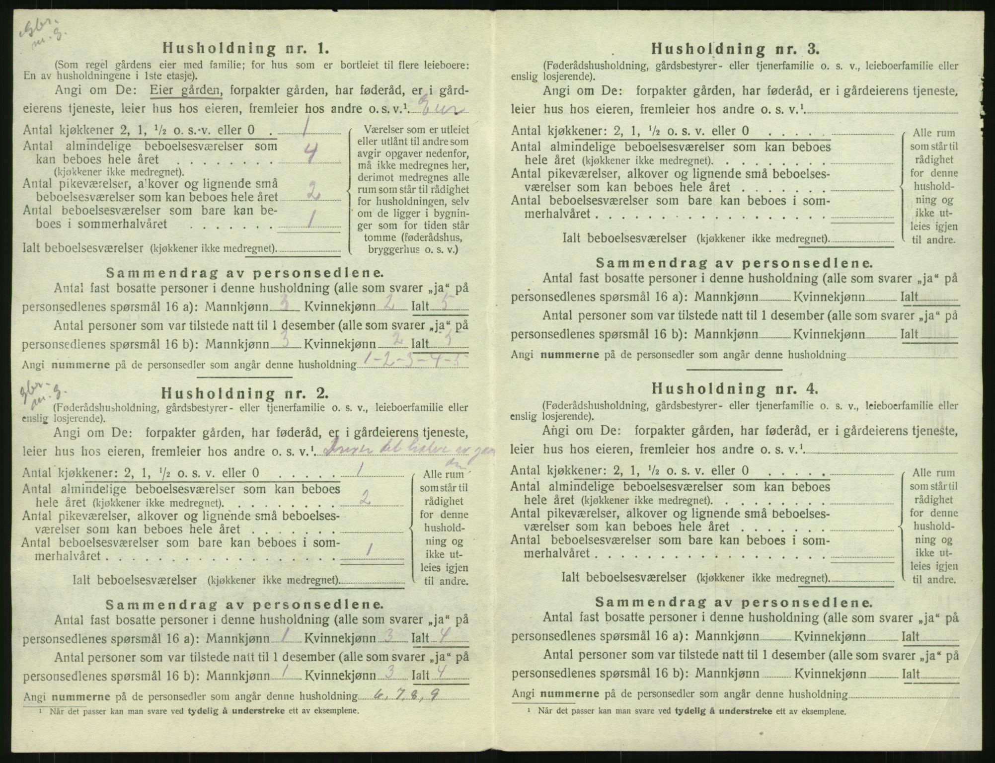 SAT, 1920 census for Hustad, 1920, p. 494