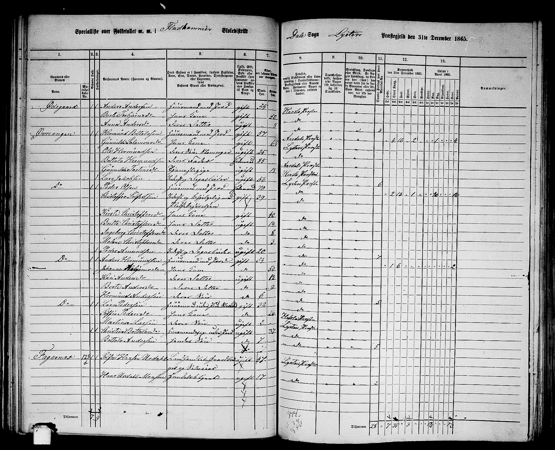 RA, 1865 census for Luster, 1865, p. 75