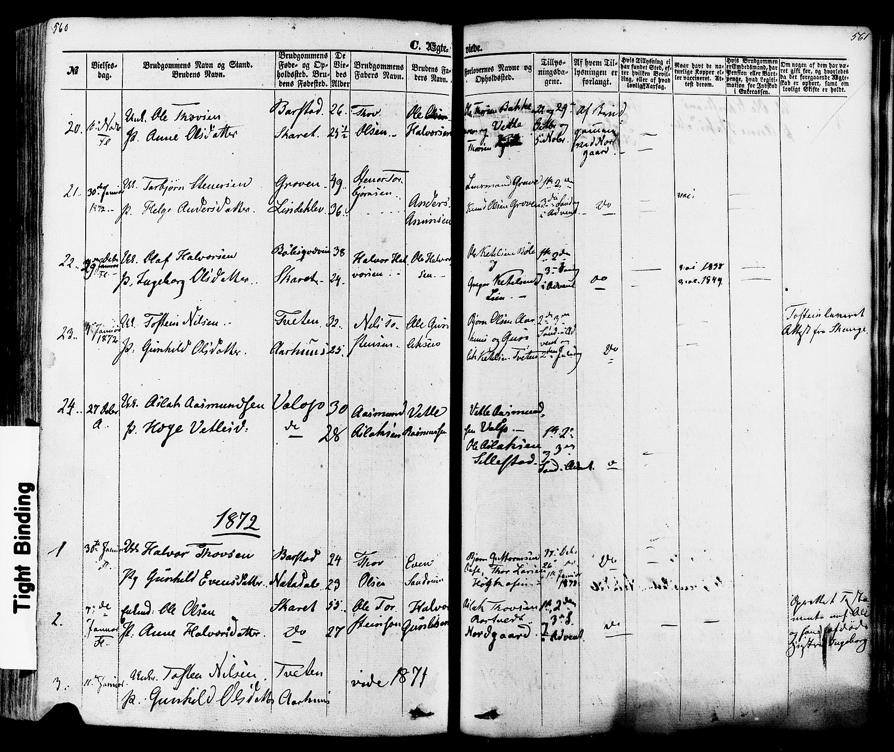 Seljord kirkebøker, AV/SAKO-A-20/F/Fa/L0013: Parish register (official) no. I 13, 1866-1876, p. 560-561