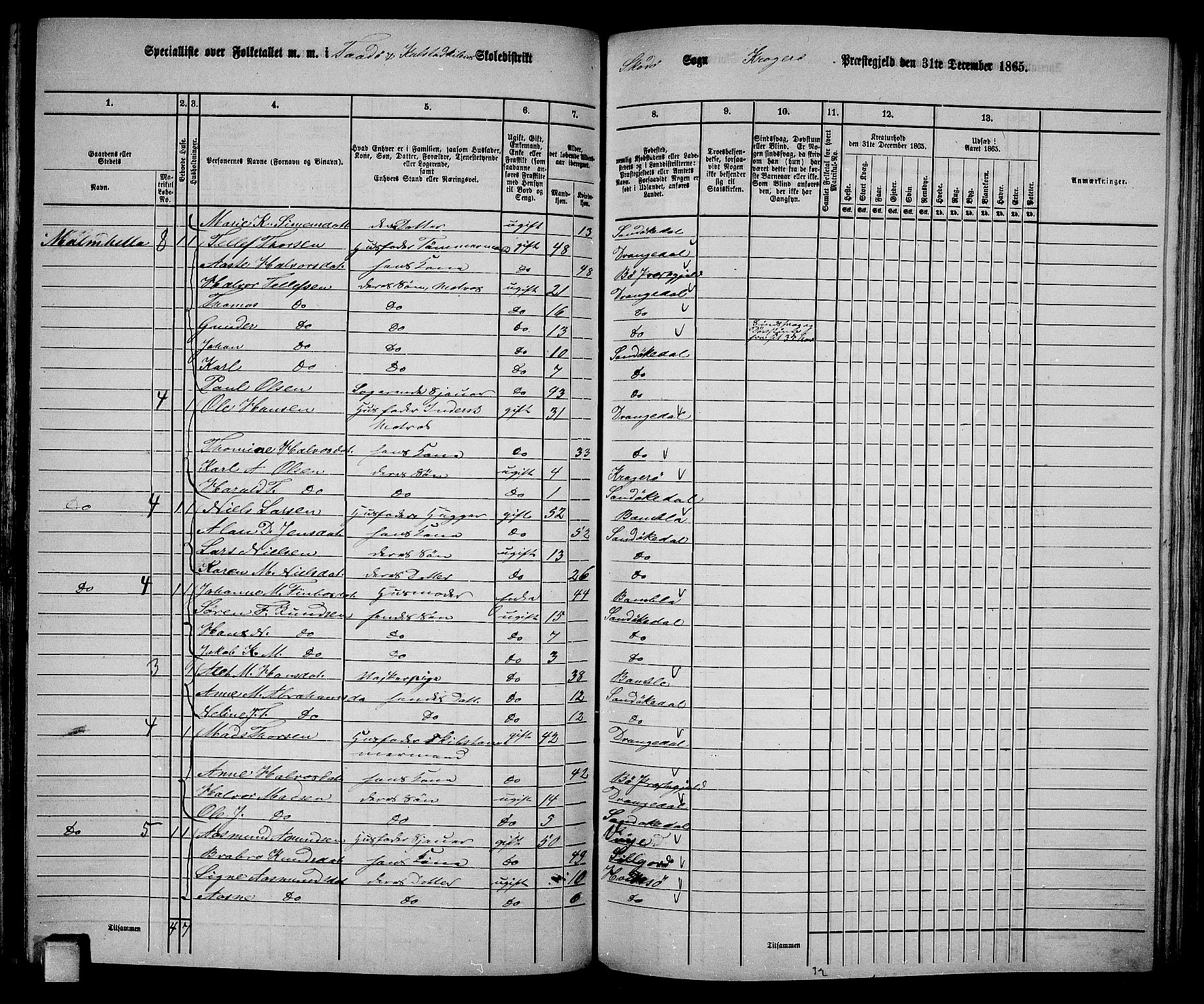 RA, 1865 census for Kragerø/Sannidal og Skåtøy, 1865, p. 132