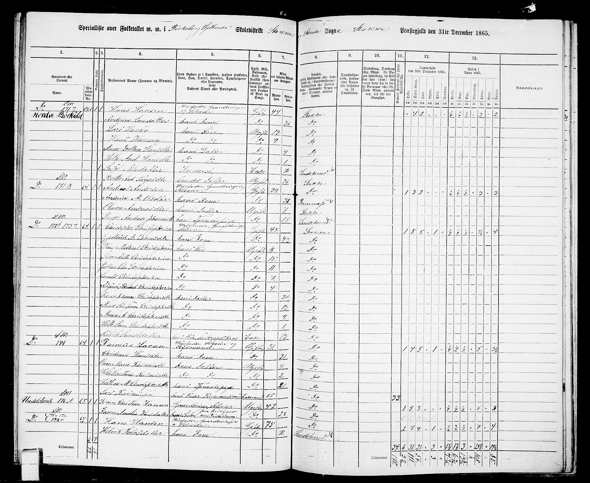 RA, 1865 census for Stokke, 1865, p. 111