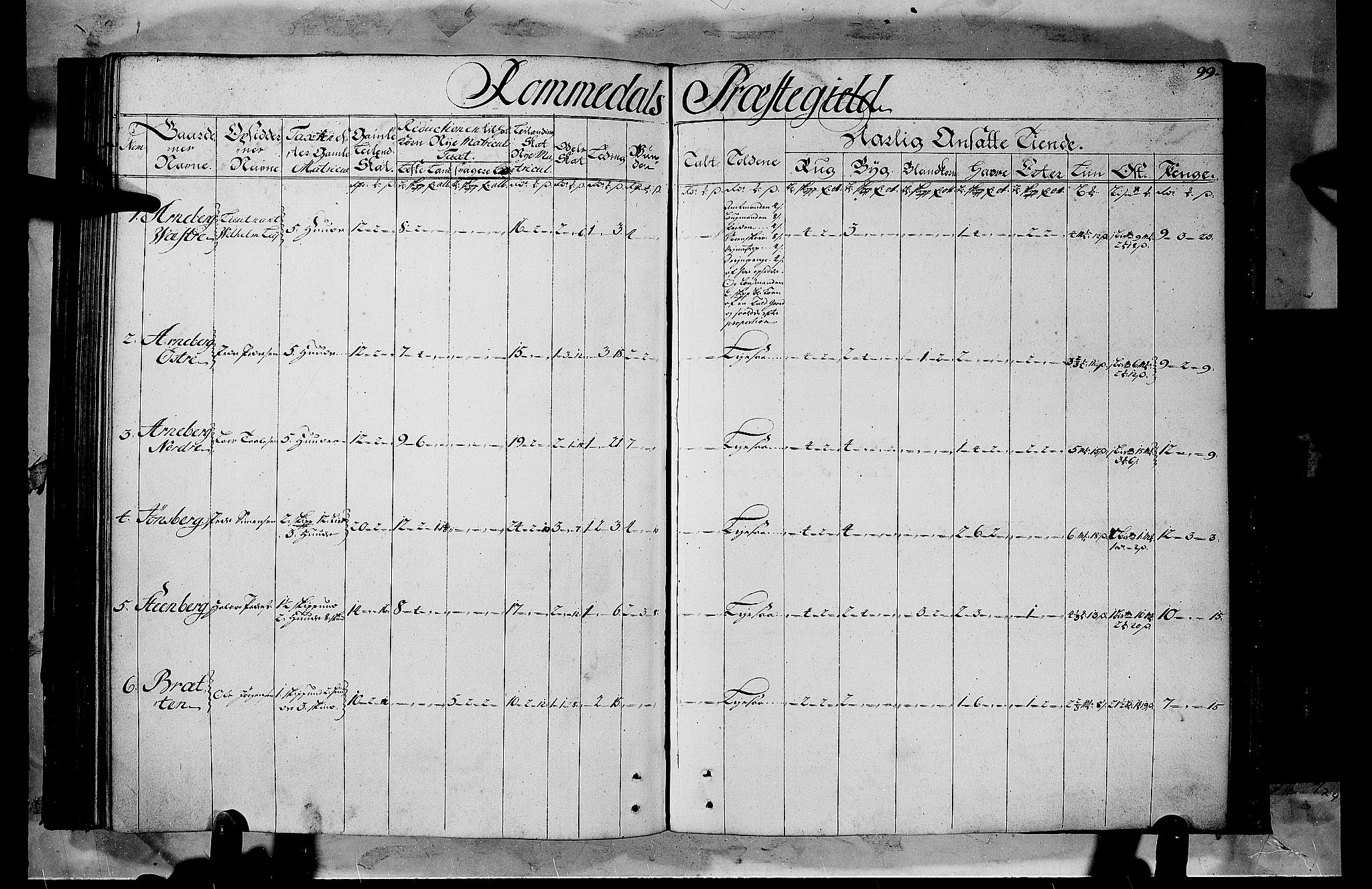 Rentekammeret inntil 1814, Realistisk ordnet avdeling, RA/EA-4070/N/Nb/Nbf/L0103b: Hedmark matrikkelprotokoll, 1723, p. 99b-100a