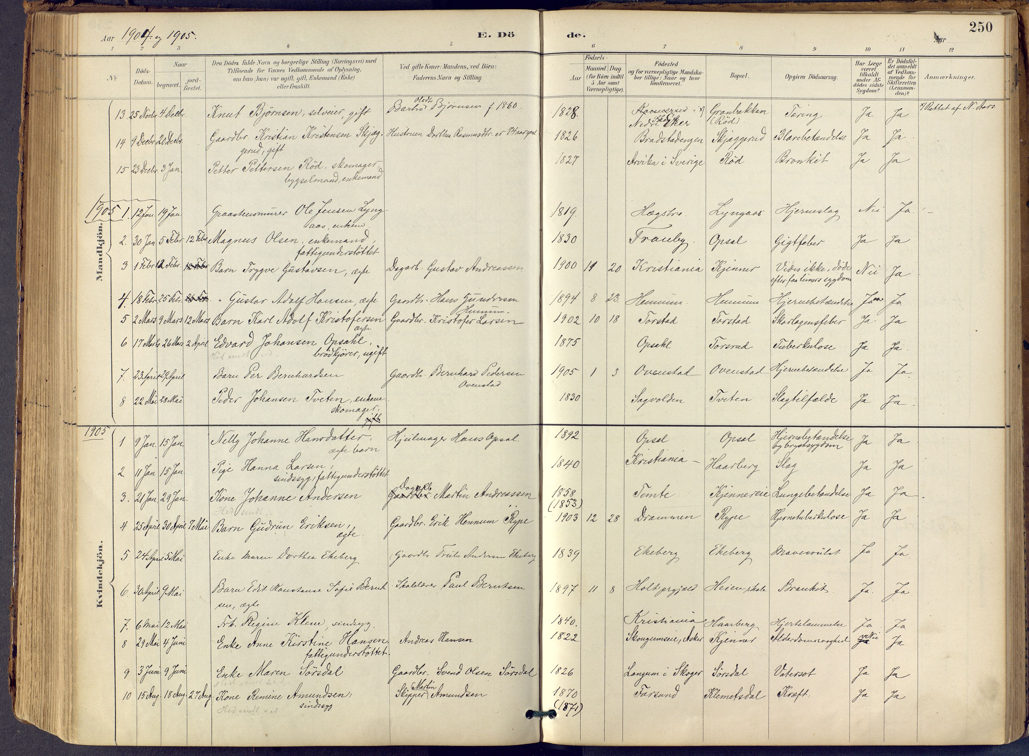 Lier kirkebøker, AV/SAKO-A-230/F/Fb/L0001: Parish register (official) no. II 1, 1883-1910, p. 250