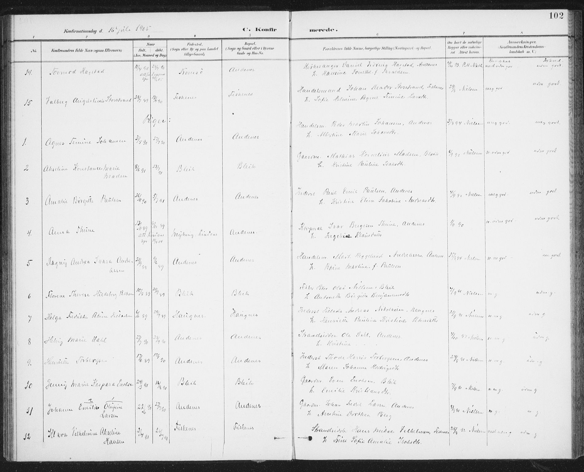 Ministerialprotokoller, klokkerbøker og fødselsregistre - Nordland, AV/SAT-A-1459/899/L1437: Parish register (official) no. 899A05, 1897-1908, p. 102