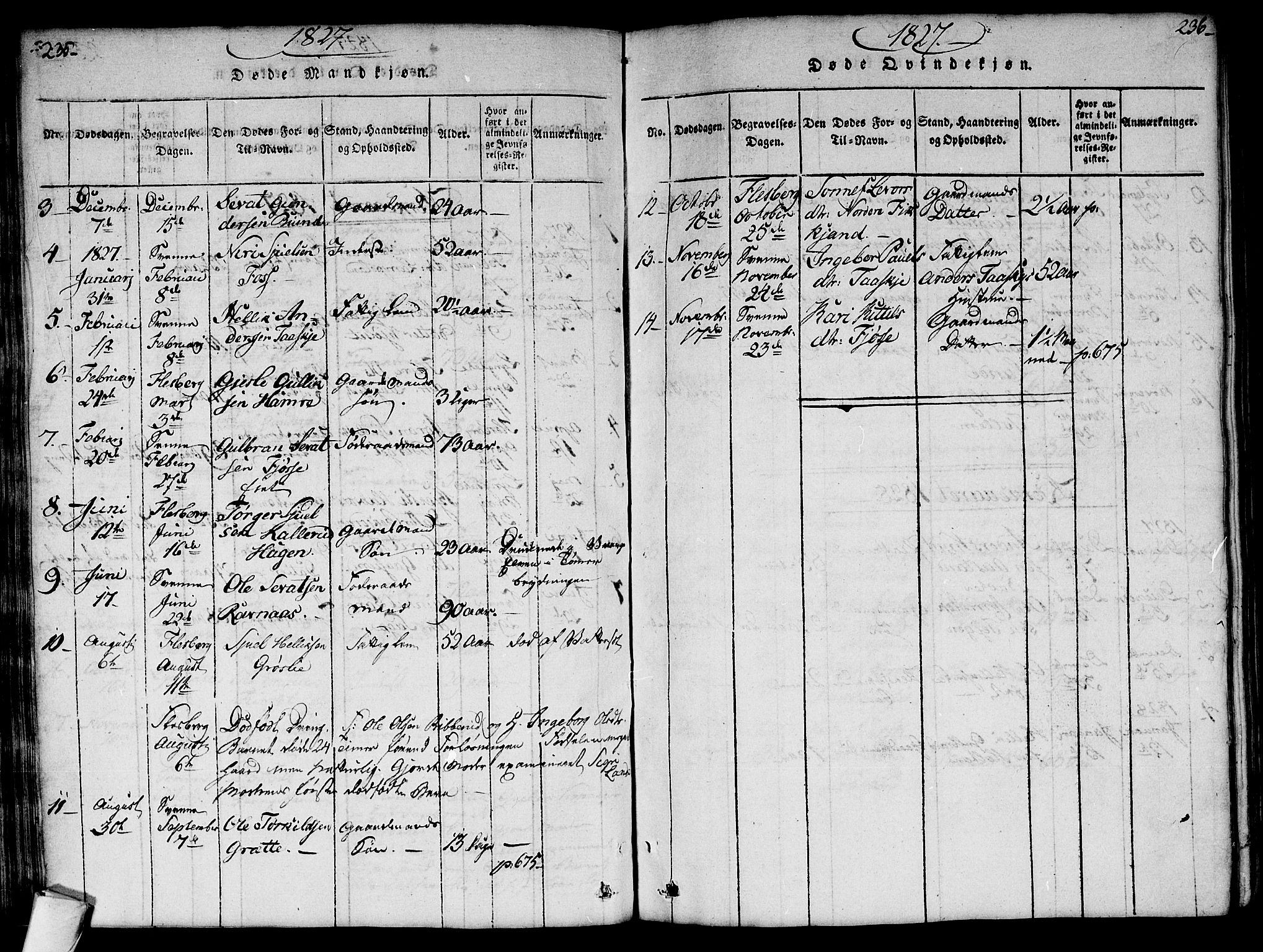 Flesberg kirkebøker, SAKO/A-18/G/Ga/L0001: Parish register (copy) no. I 1, 1816-1834, p. 235-236