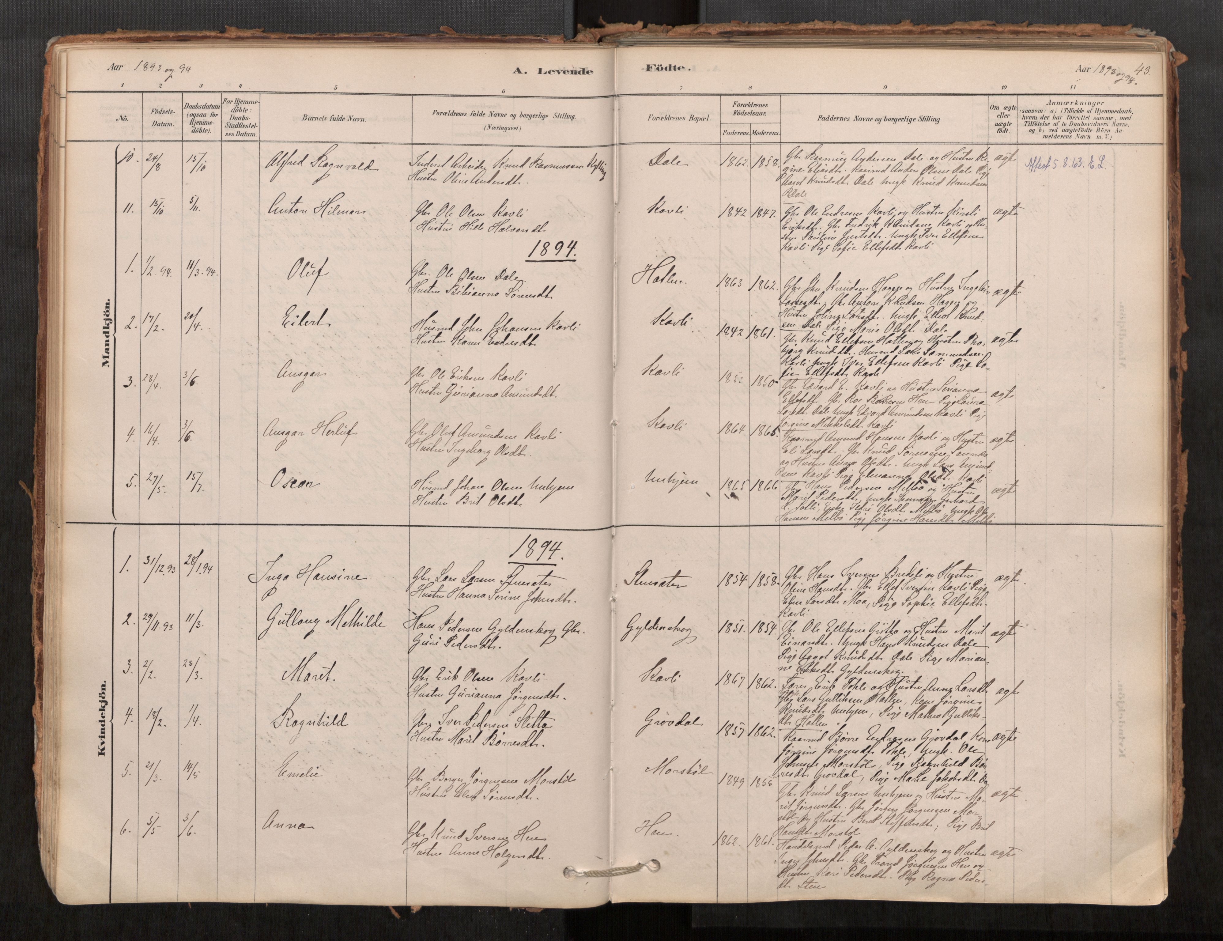 Ministerialprotokoller, klokkerbøker og fødselsregistre - Møre og Romsdal, AV/SAT-A-1454/545/L0594: Parish register (official) no. 545A03, 1878-1920, p. 43