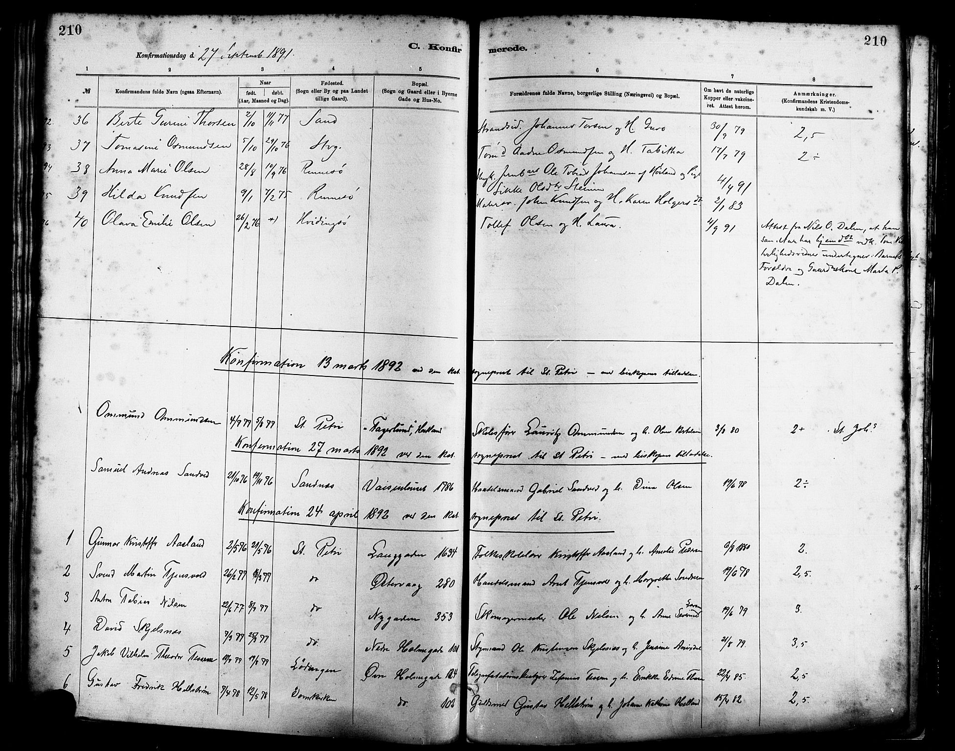 St. Petri sokneprestkontor, SAST/A-101813/001/30/30BA/L0016: Parish register (official) no. A 16, 1879-1893, p. 210