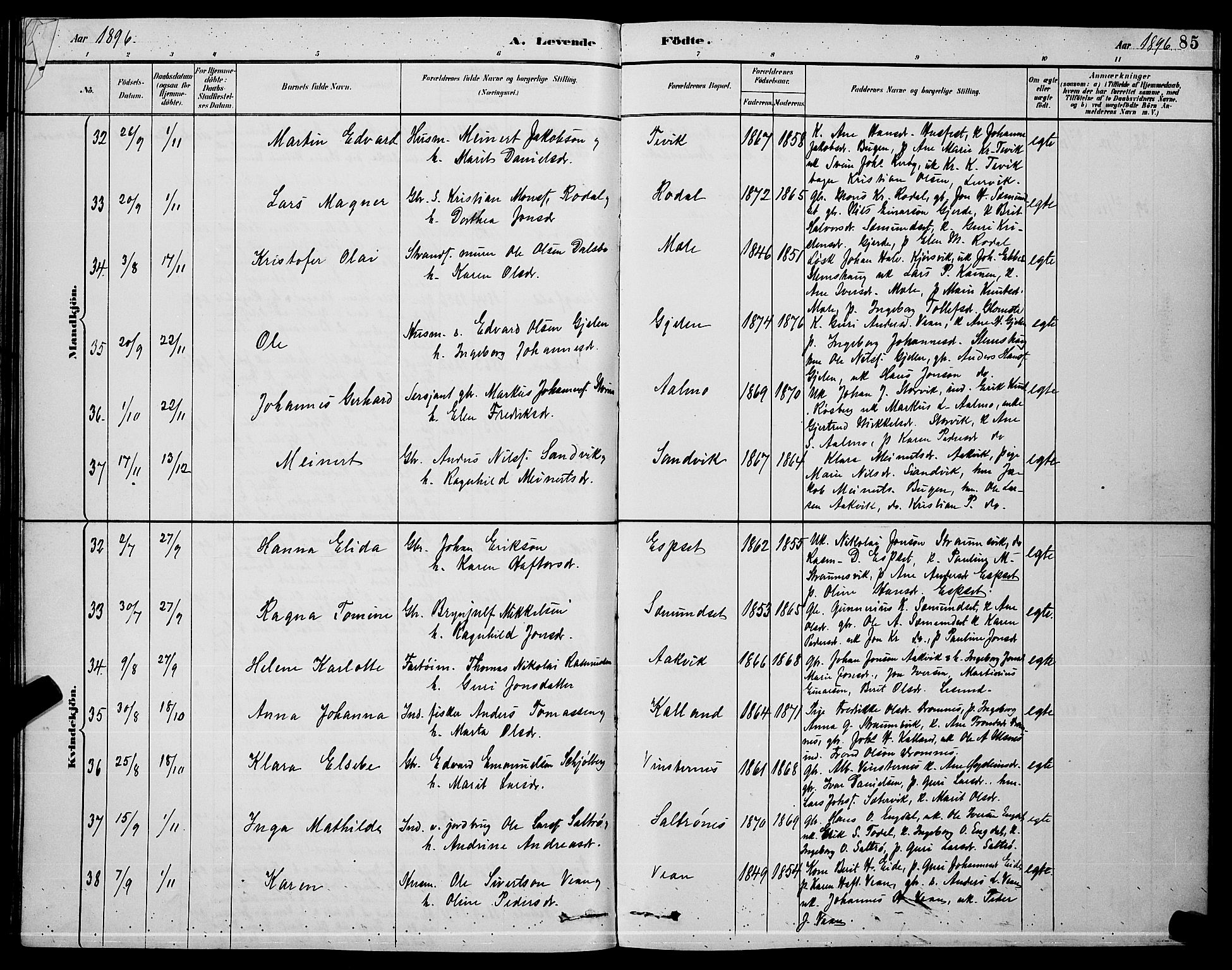 Ministerialprotokoller, klokkerbøker og fødselsregistre - Møre og Romsdal, AV/SAT-A-1454/578/L0909: Parish register (copy) no. 578C02, 1882-1900, p. 85