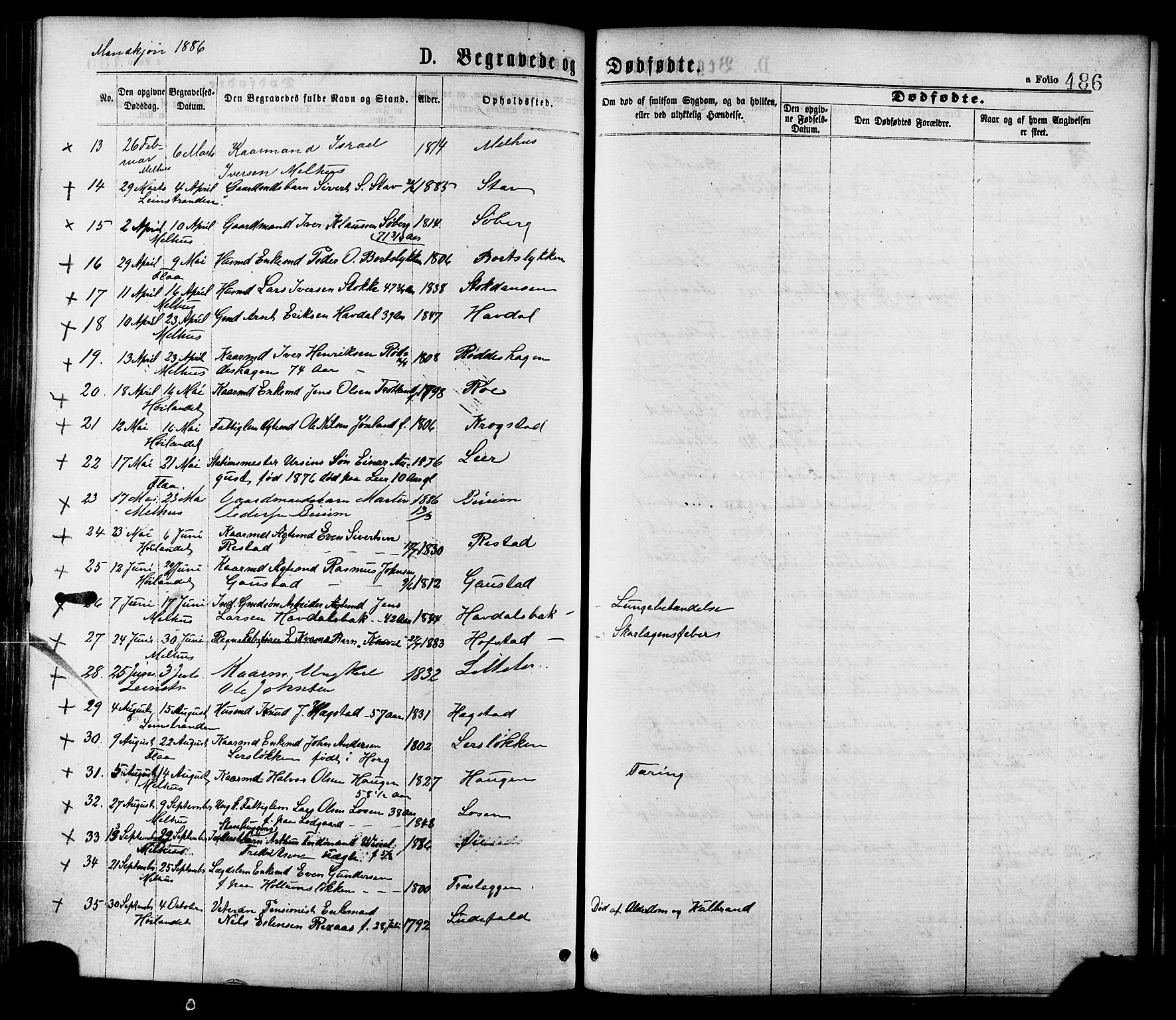 Ministerialprotokoller, klokkerbøker og fødselsregistre - Sør-Trøndelag, AV/SAT-A-1456/691/L1079: Parish register (official) no. 691A11, 1873-1886, p. 486