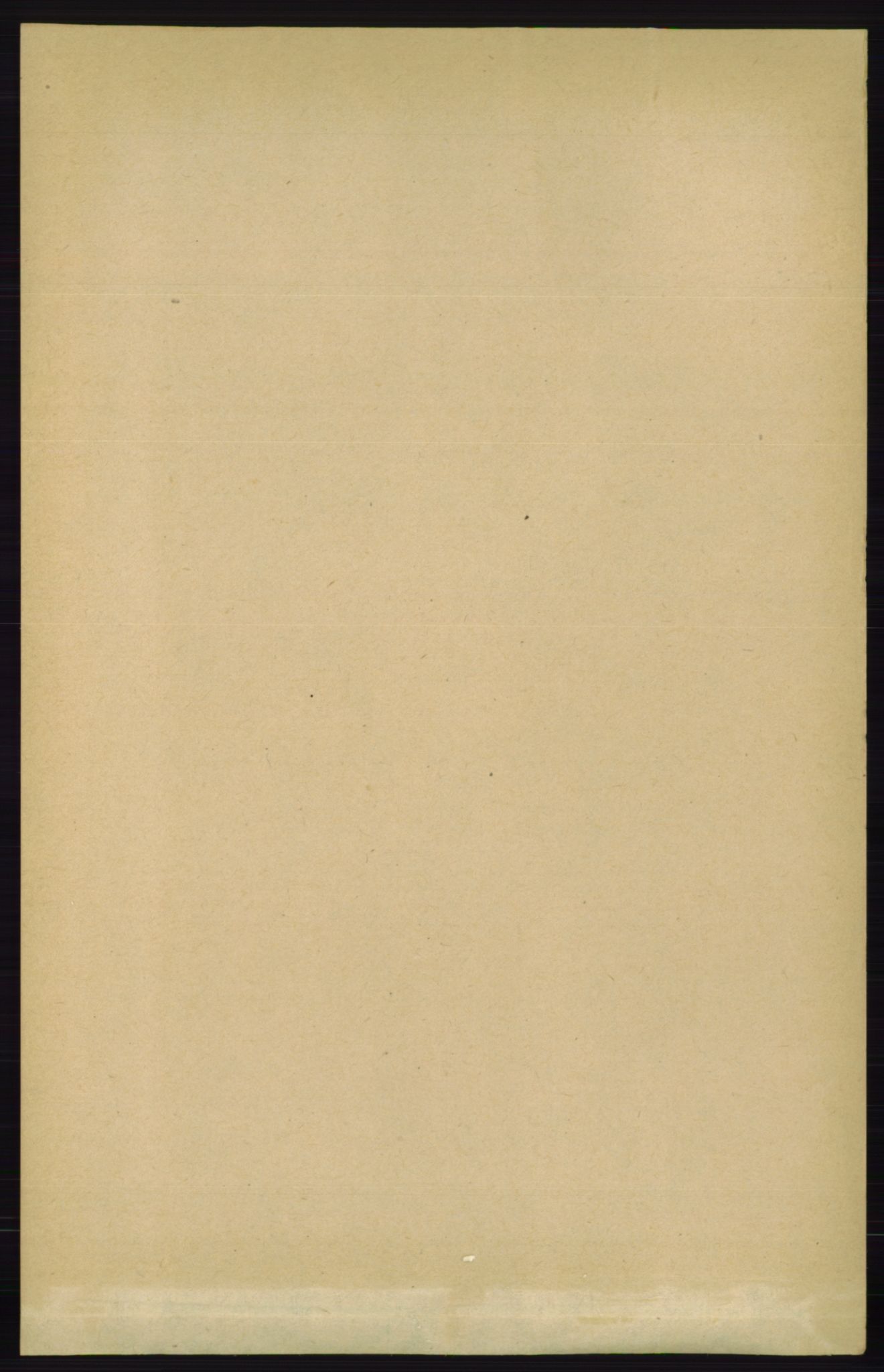 RA, 1891 census for 0913 Søndeled, 1891, p. 4131
