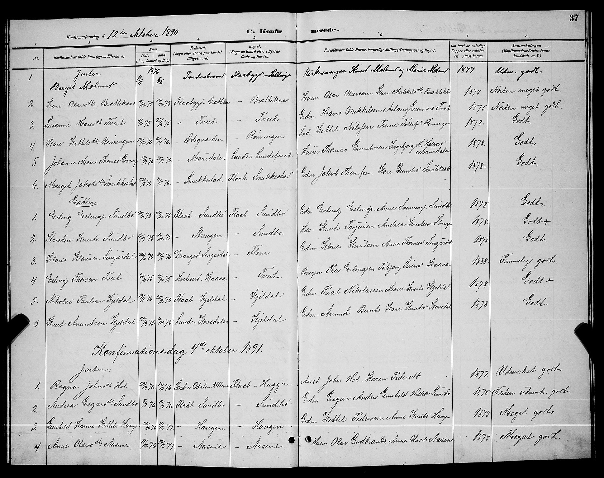 Lunde kirkebøker, SAKO/A-282/G/Gb/L0002: Parish register (copy) no. II 2, 1888-1895, p. 37
