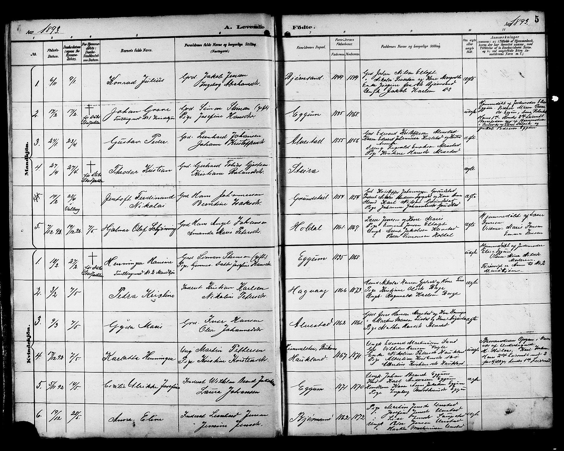 Ministerialprotokoller, klokkerbøker og fødselsregistre - Nordland, SAT/A-1459/880/L1141: Parish register (copy) no. 880C03, 1893-1928, p. 5