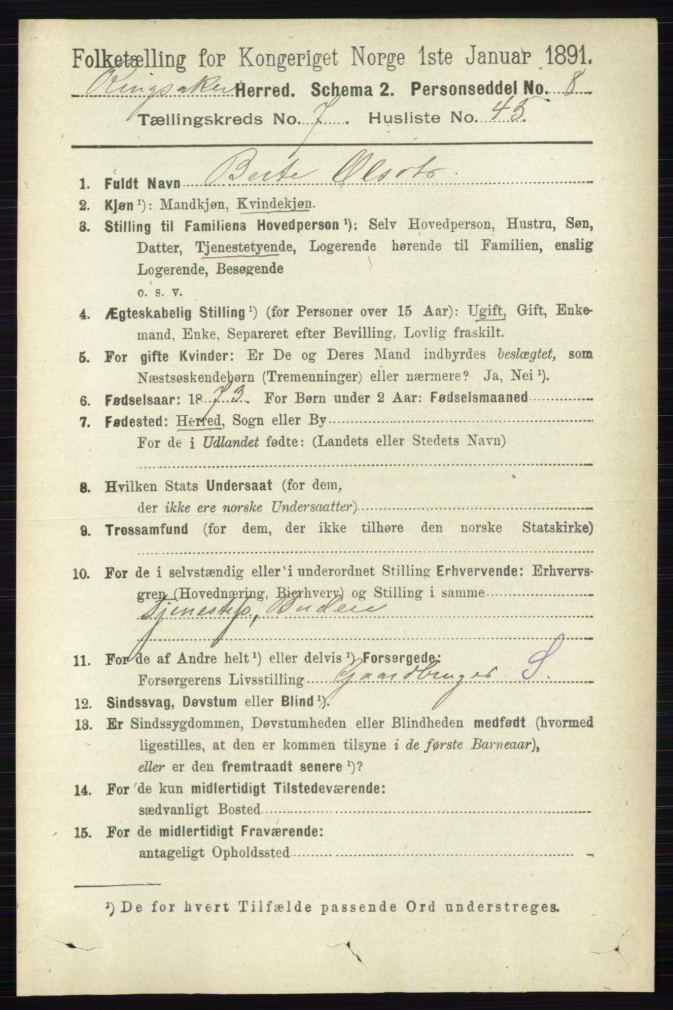 RA, 1891 census for 0412 Ringsaker, 1891, p. 4199