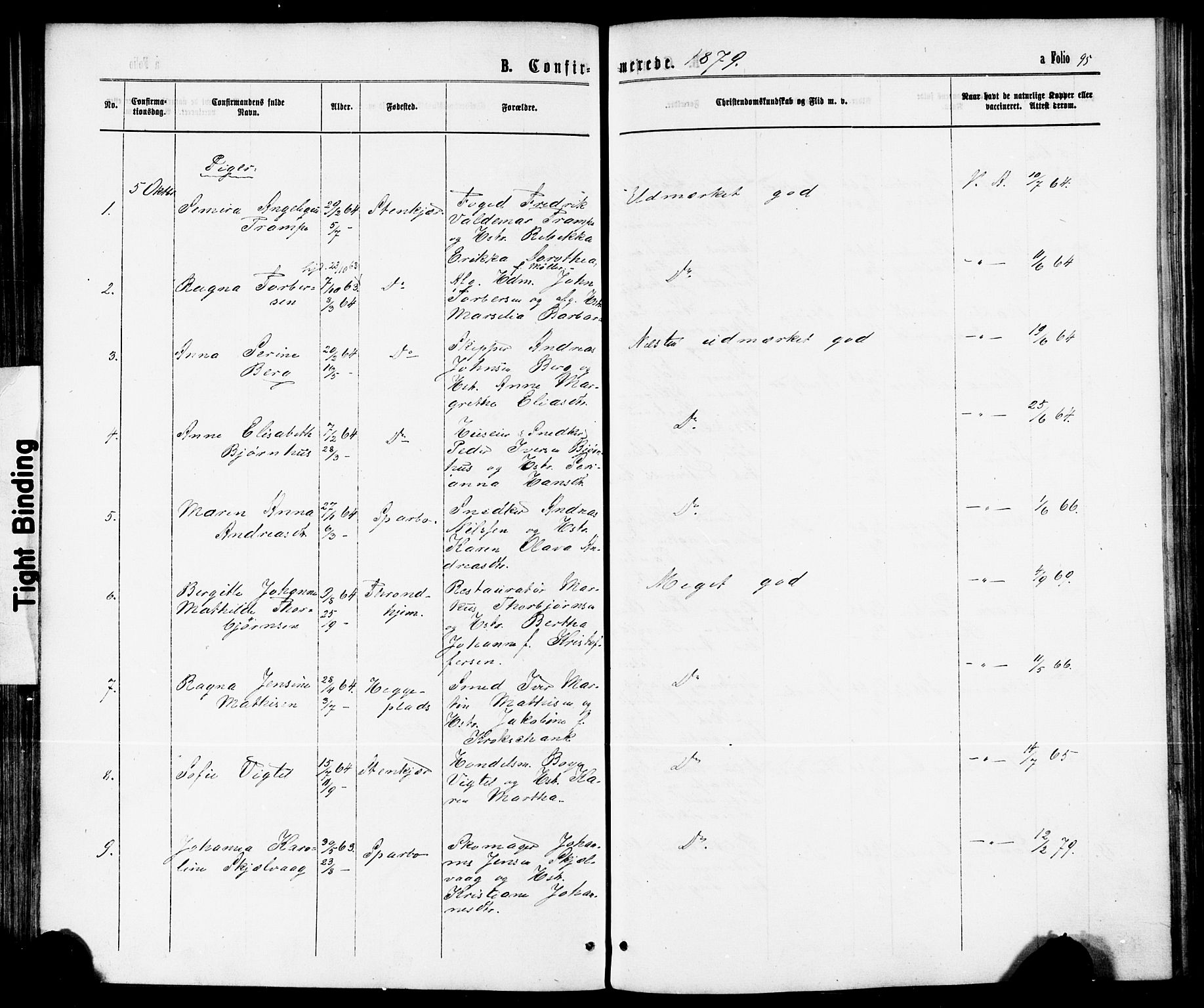 Ministerialprotokoller, klokkerbøker og fødselsregistre - Nord-Trøndelag, AV/SAT-A-1458/739/L0370: Parish register (official) no. 739A02, 1868-1881, p. 95