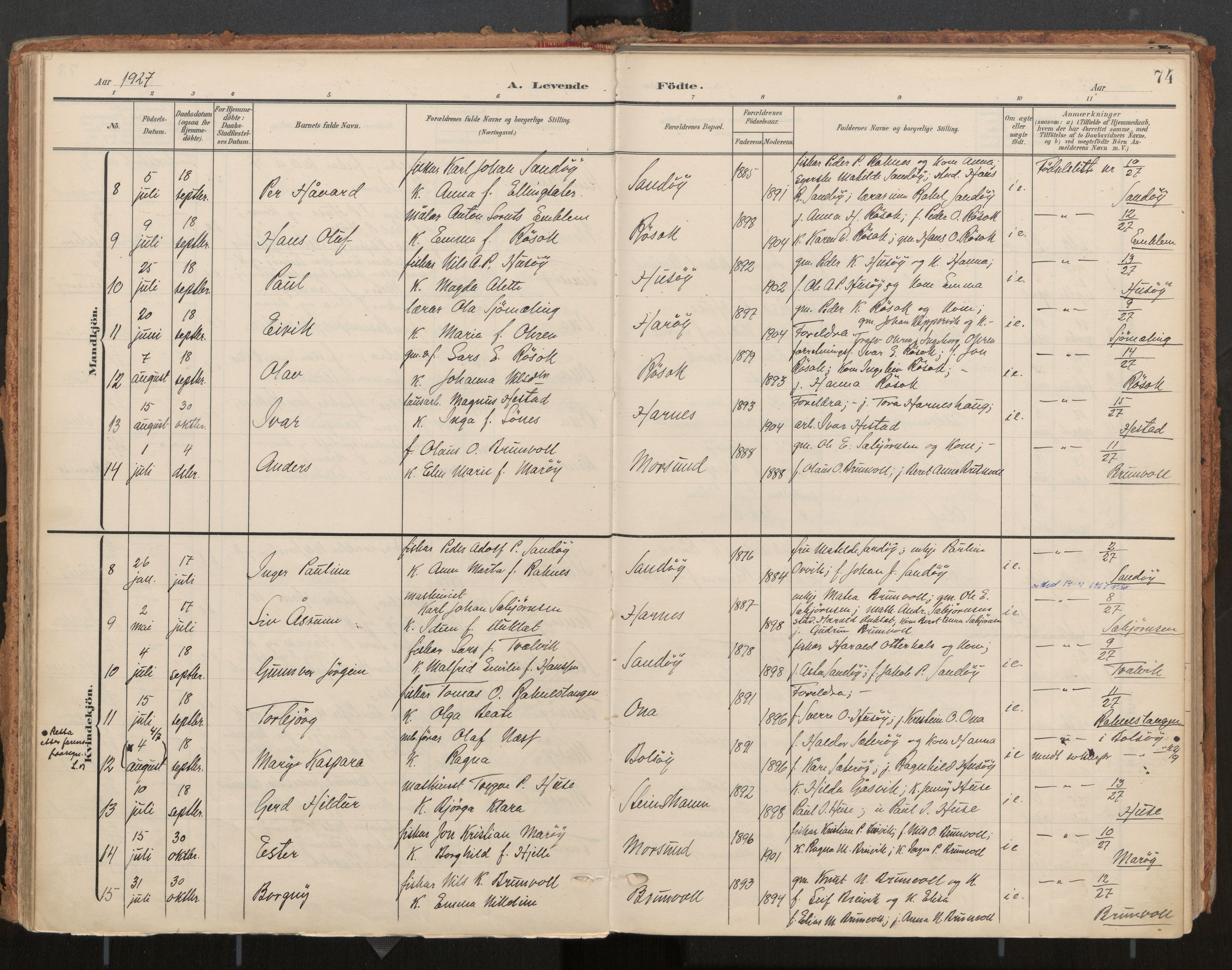 Ministerialprotokoller, klokkerbøker og fødselsregistre - Møre og Romsdal, AV/SAT-A-1454/561/L0730: Parish register (official) no. 561A04, 1901-1929, p. 74