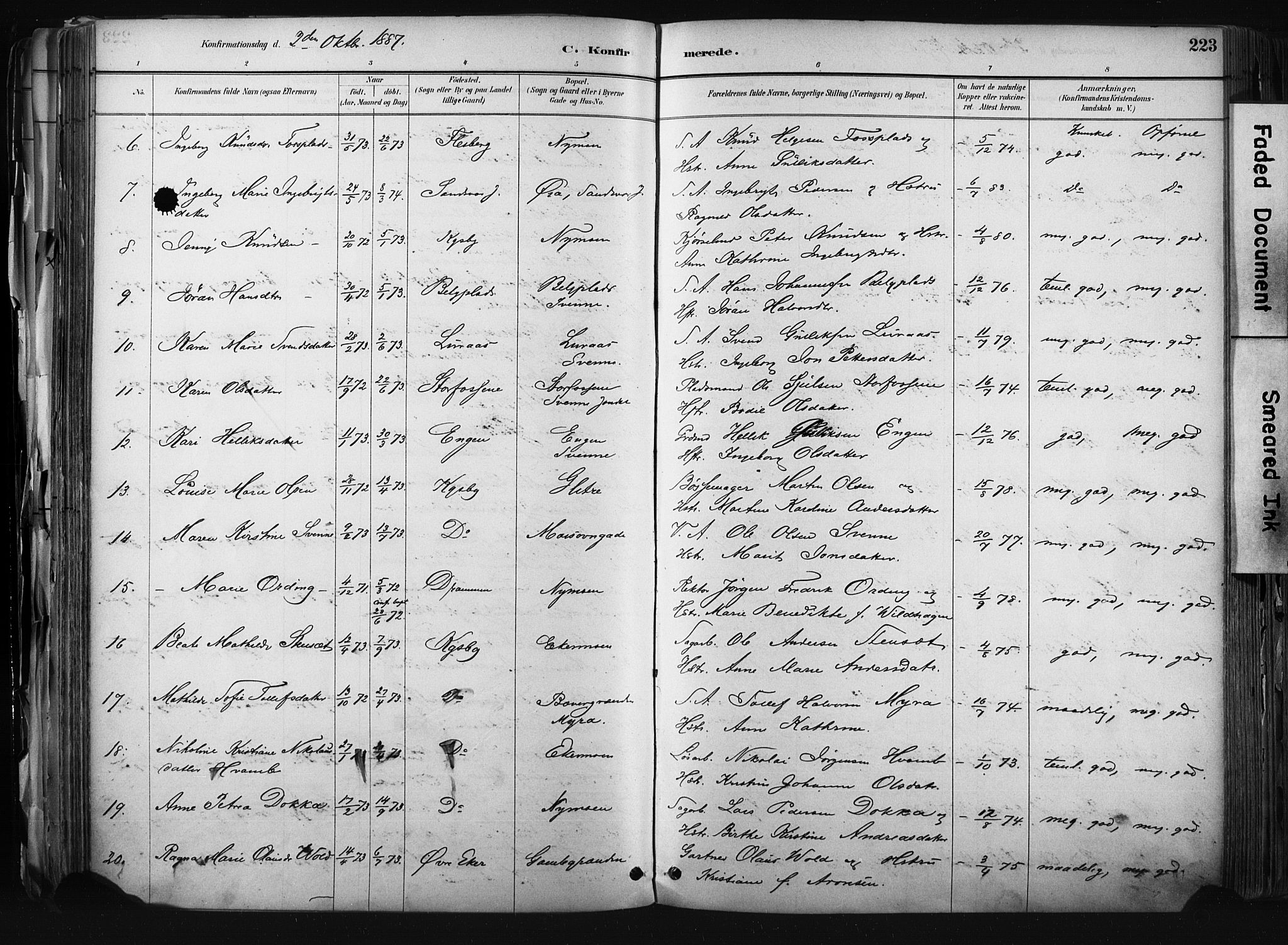 Kongsberg kirkebøker, AV/SAKO-A-22/F/Fb/L0002: Parish register (official) no. II 2, 1886-1896, p. 223