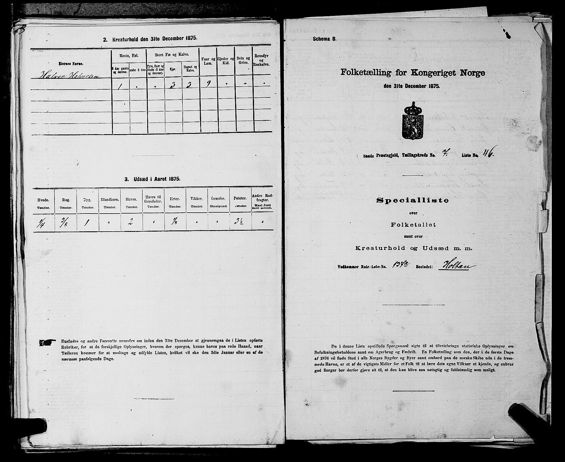 SAKO, 1875 census for 0822P Sauherad, 1875, p. 923