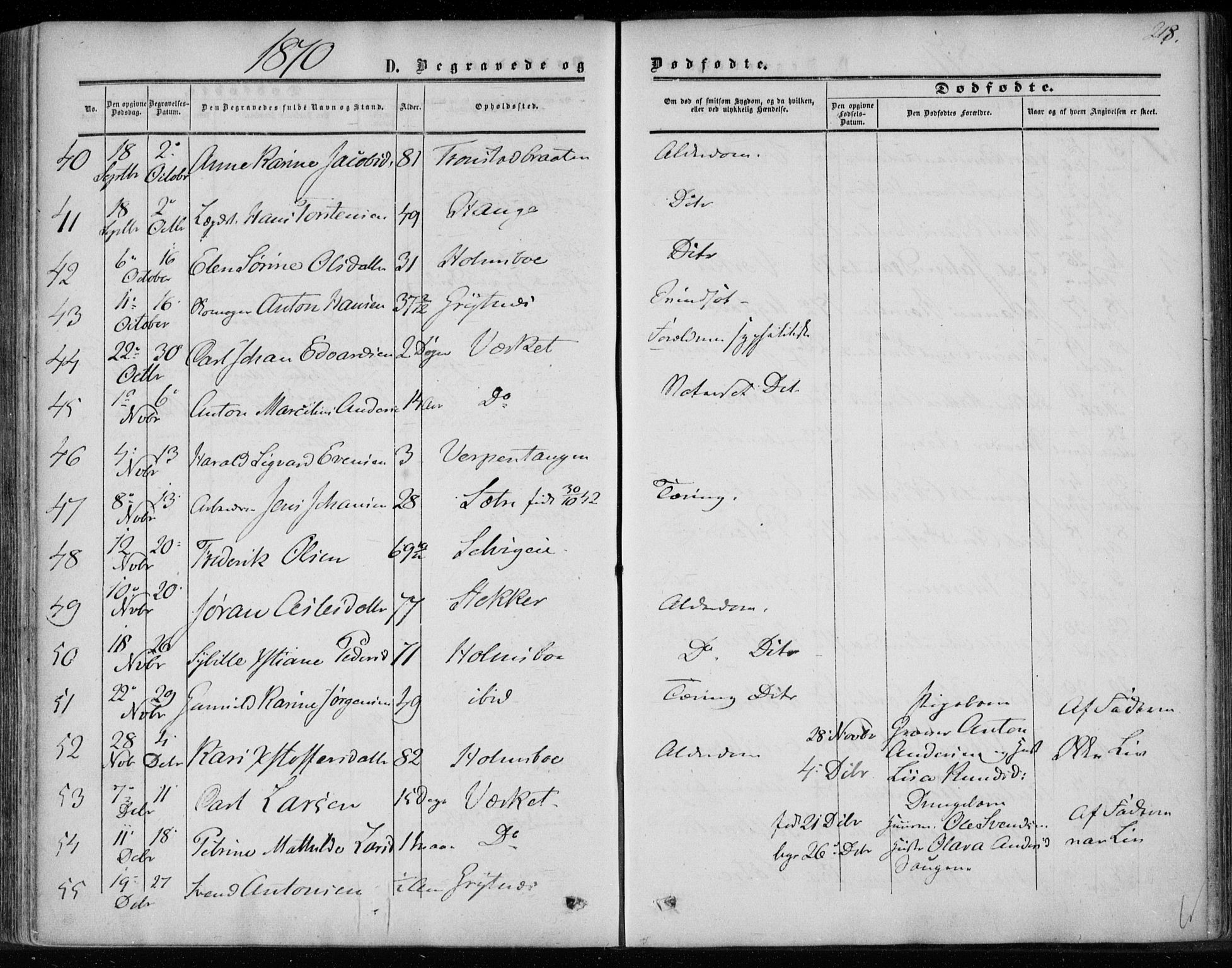 Hurum kirkebøker, AV/SAKO-A-229/F/Fa/L0012: Parish register (official) no. 12, 1861-1875, p. 218