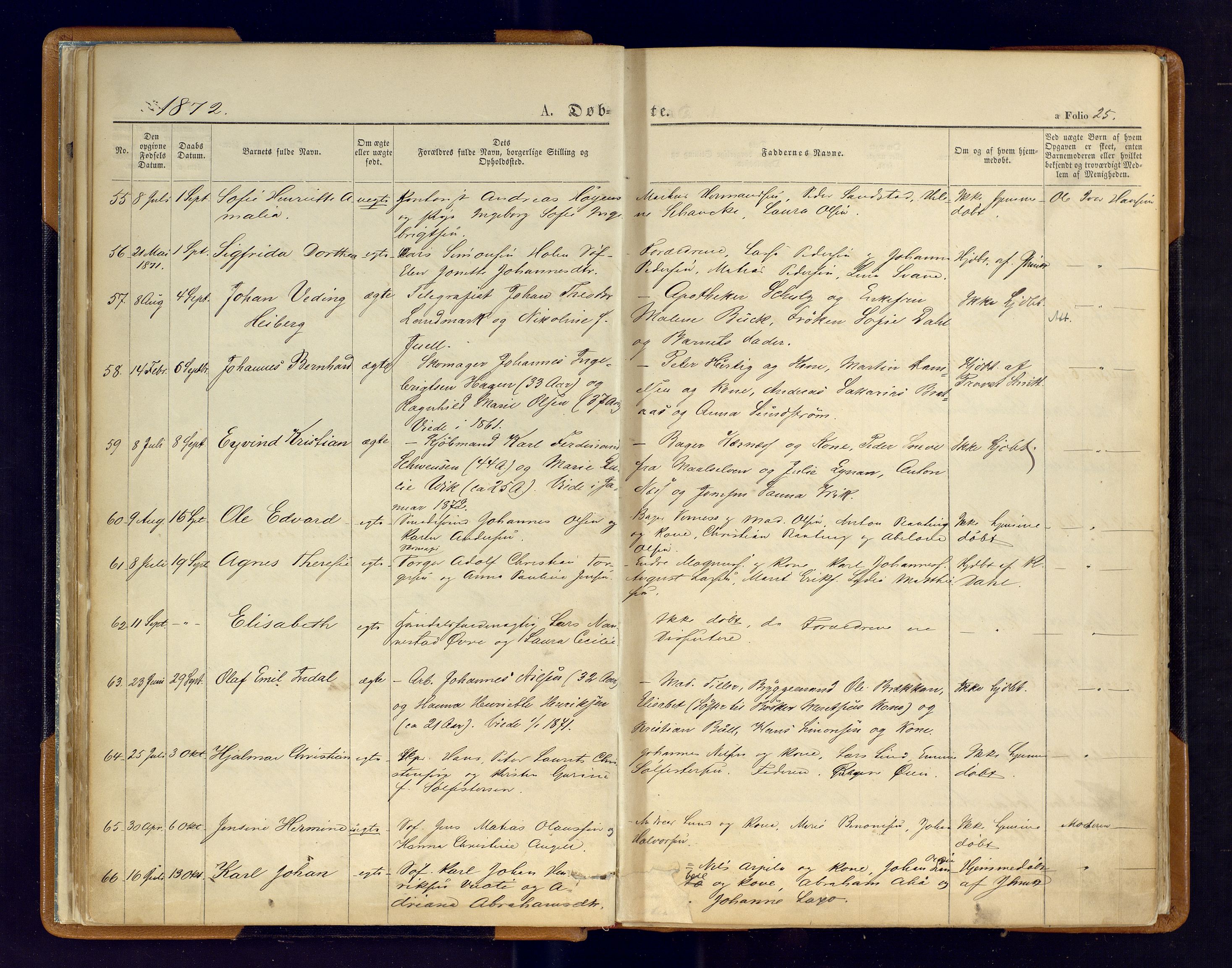 Hammerfest sokneprestkontor, SATØ/S-1347/H/Ha/L0006.kirke: Parish register (official) no. 6, 1869-1877, p. 25