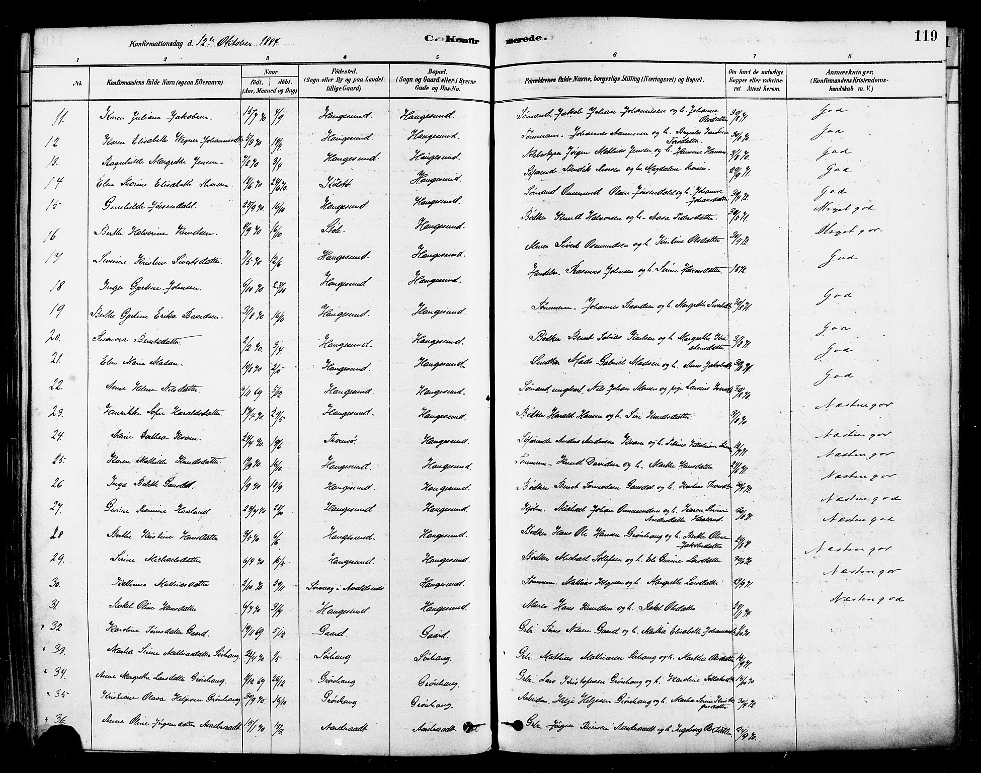 Haugesund sokneprestkontor, AV/SAST-A -101863/H/Ha/Haa/L0001: Parish register (official) no. A 1, 1878-1885, p. 119