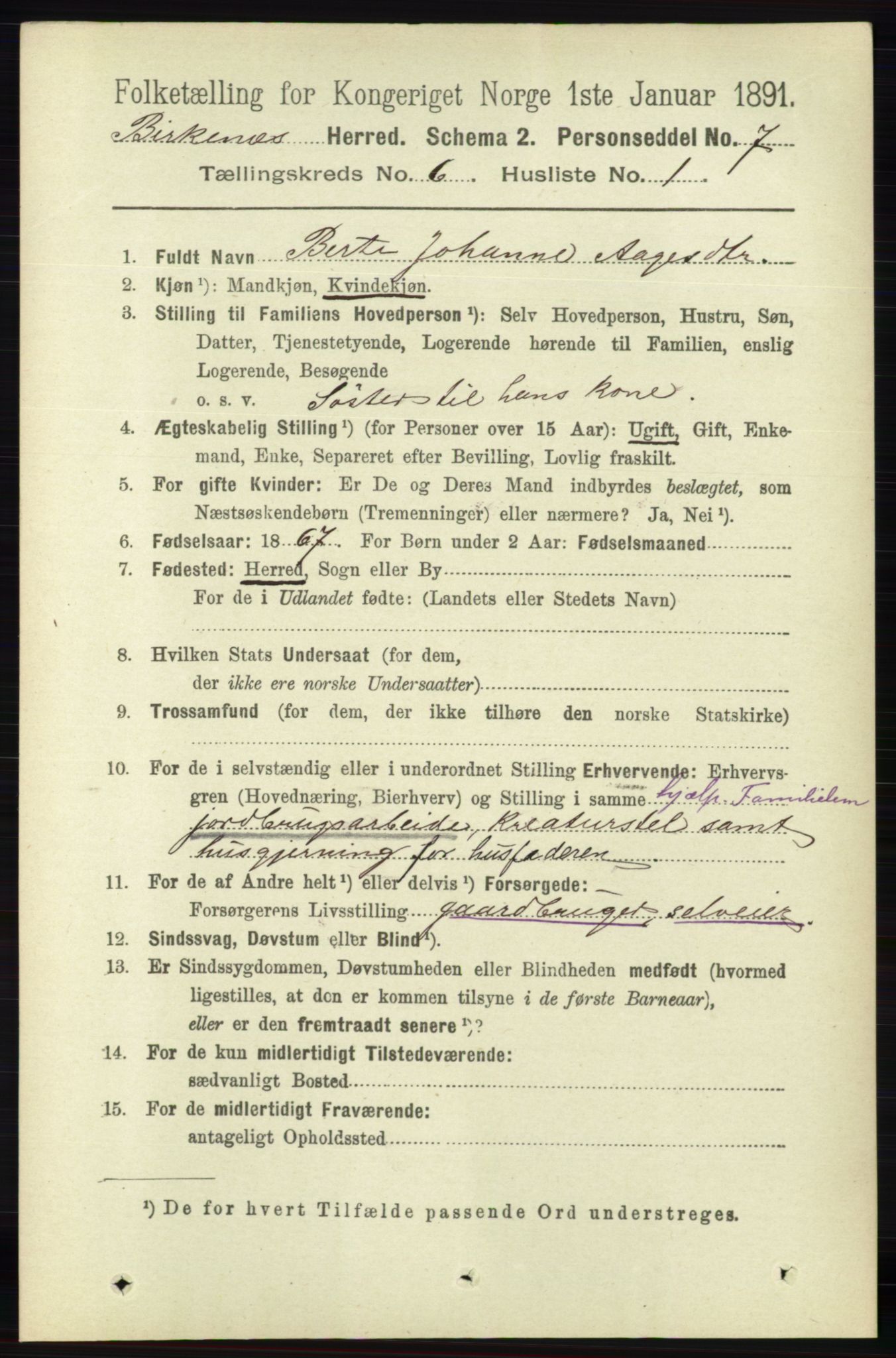 RA, 1891 Census for 0928 Birkenes, 1891, p. 1801