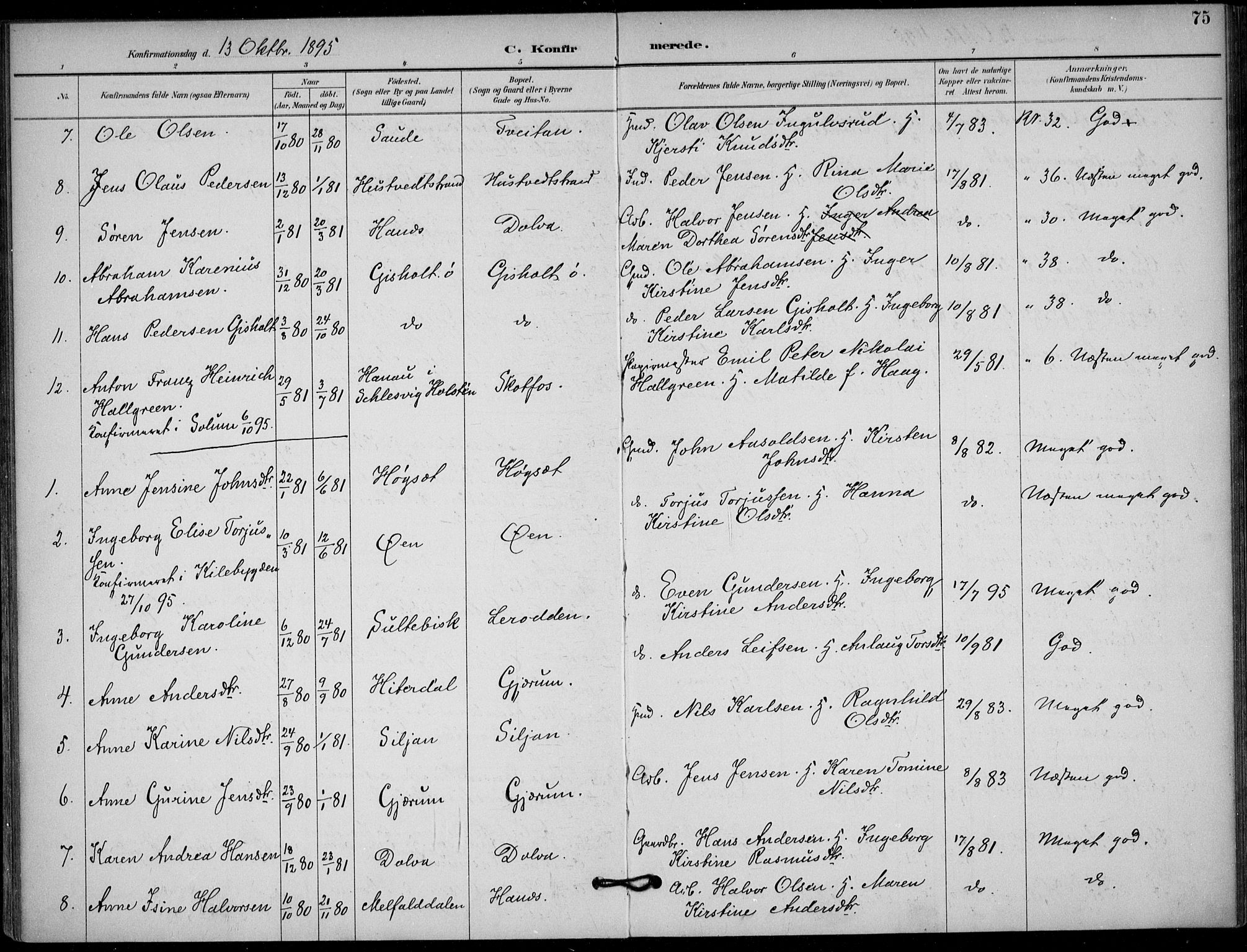 Solum kirkebøker, AV/SAKO-A-306/F/Fb/L0002: Parish register (official) no. II 2, 1893-1901, p. 75
