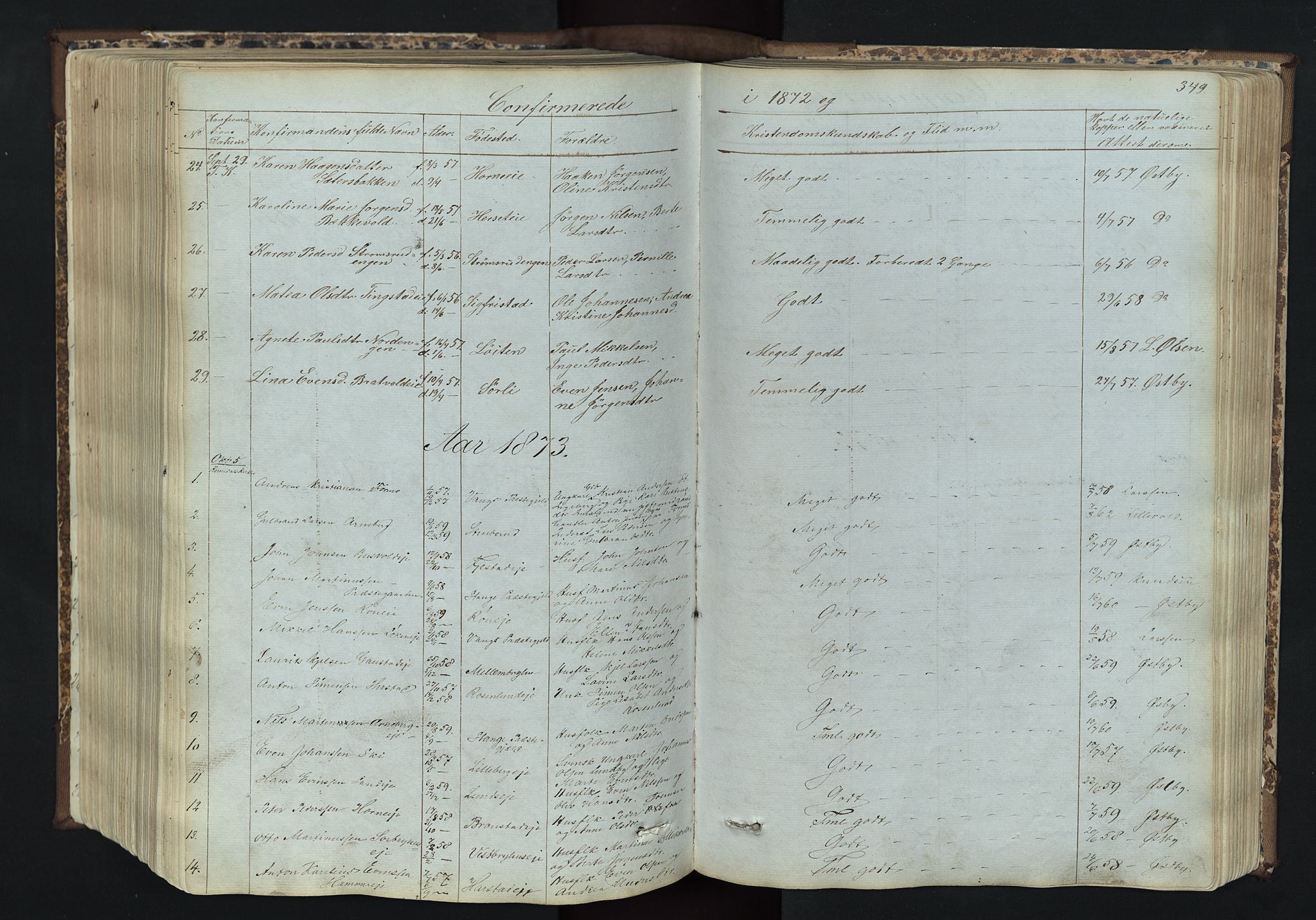 Romedal prestekontor, AV/SAH-PREST-004/L/L0011: Parish register (copy) no. 11, 1867-1895, p. 349