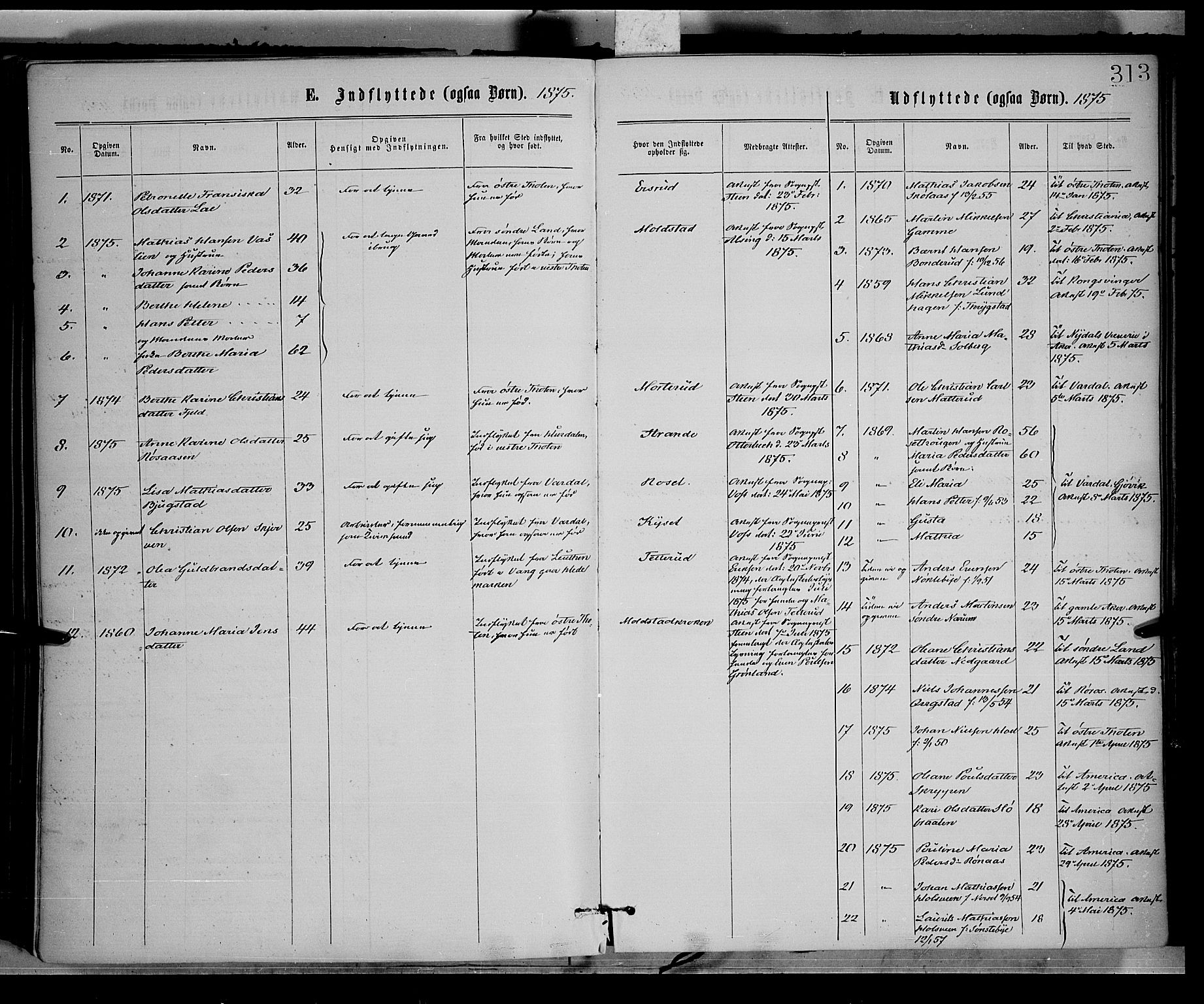 Vestre Toten prestekontor, SAH/PREST-108/H/Ha/Haa/L0008: Parish register (official) no. 8, 1870-1877, p. 313