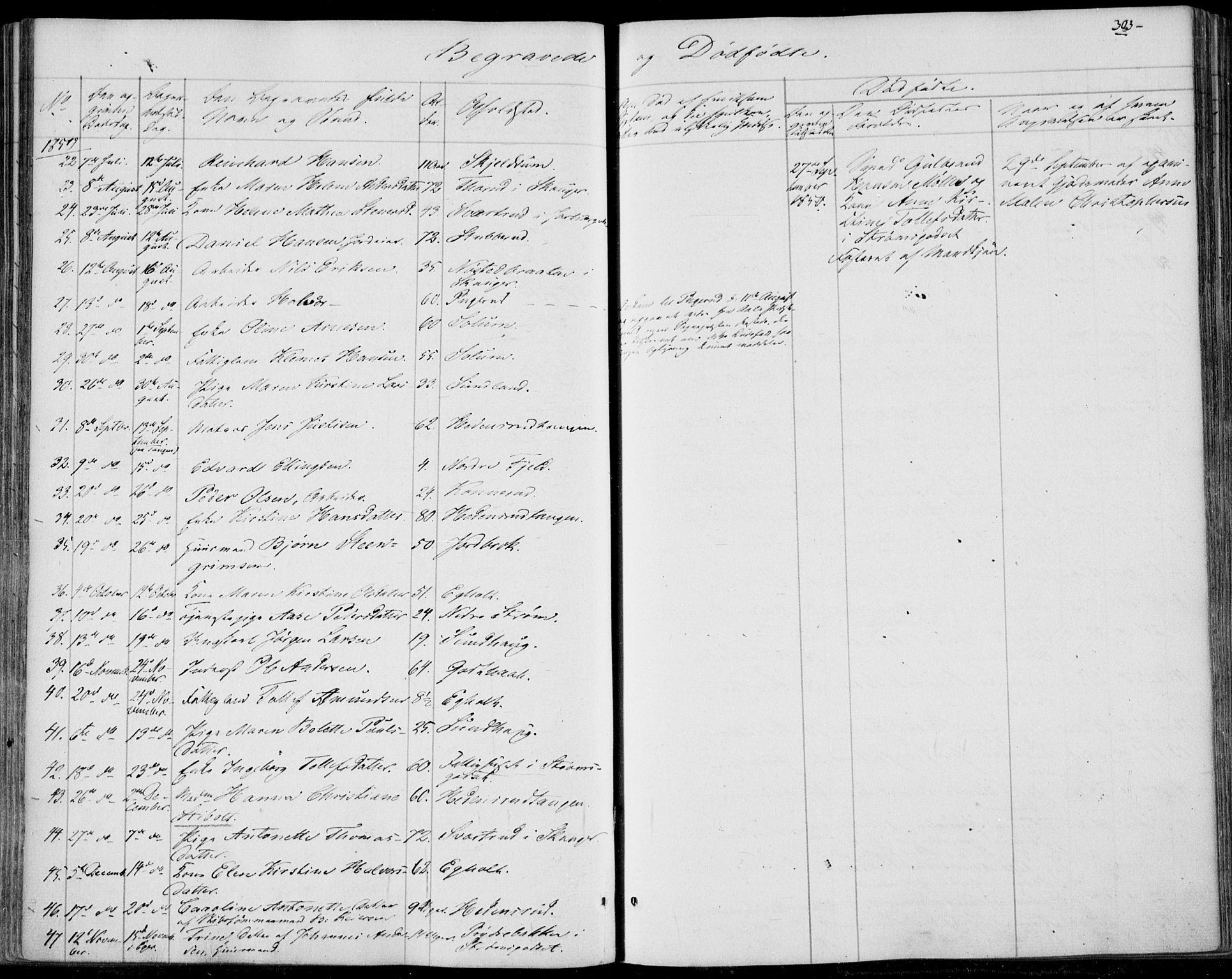 Skoger kirkebøker, SAKO/A-59/F/Fa/L0003: Parish register (official) no. I 3, 1842-1861, p. 303