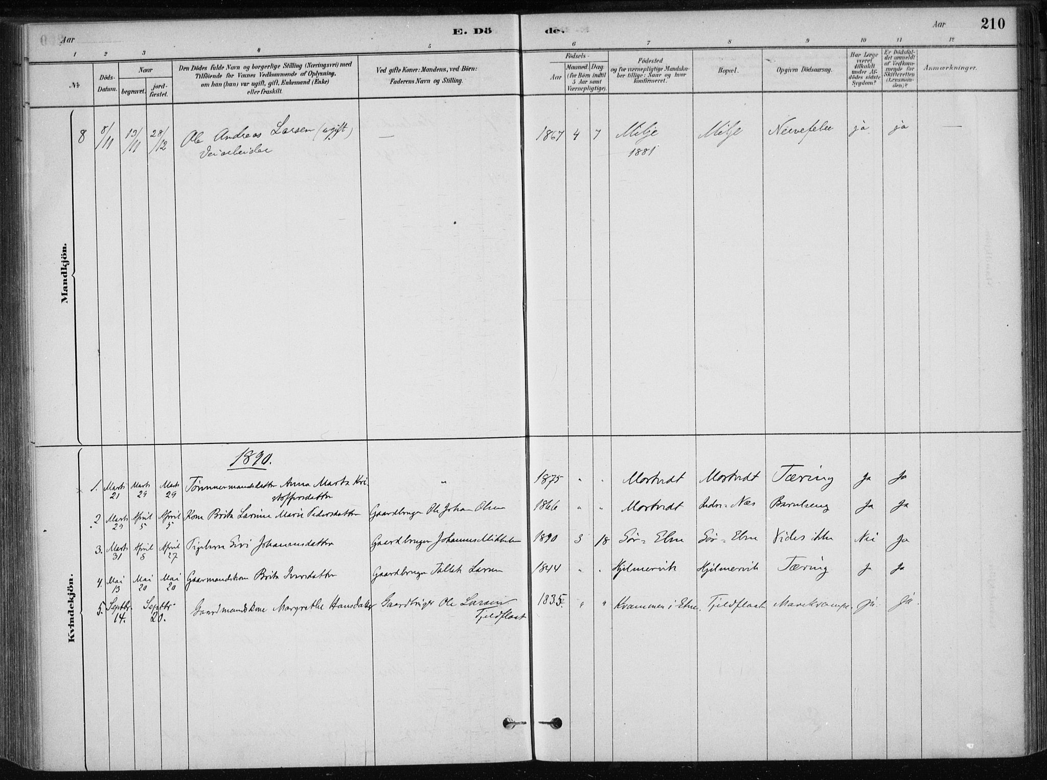 Skånevik sokneprestembete, AV/SAB-A-77801/H/Haa: Parish register (official) no. B 1, 1879-1914, p. 210