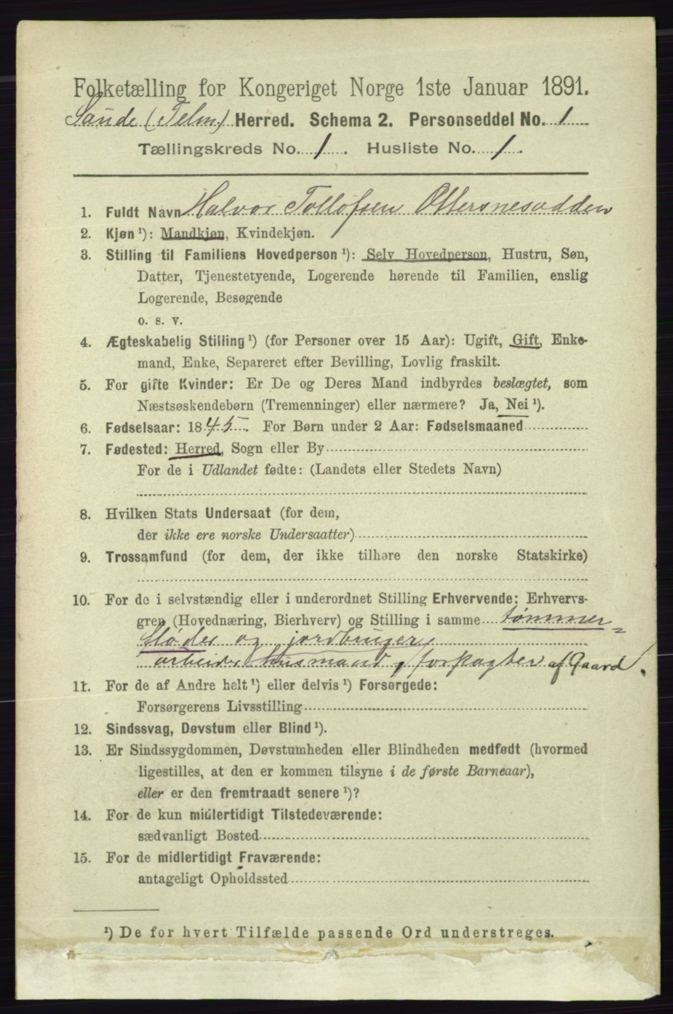 RA, 1891 census for 0822 Sauherad, 1891, p. 100