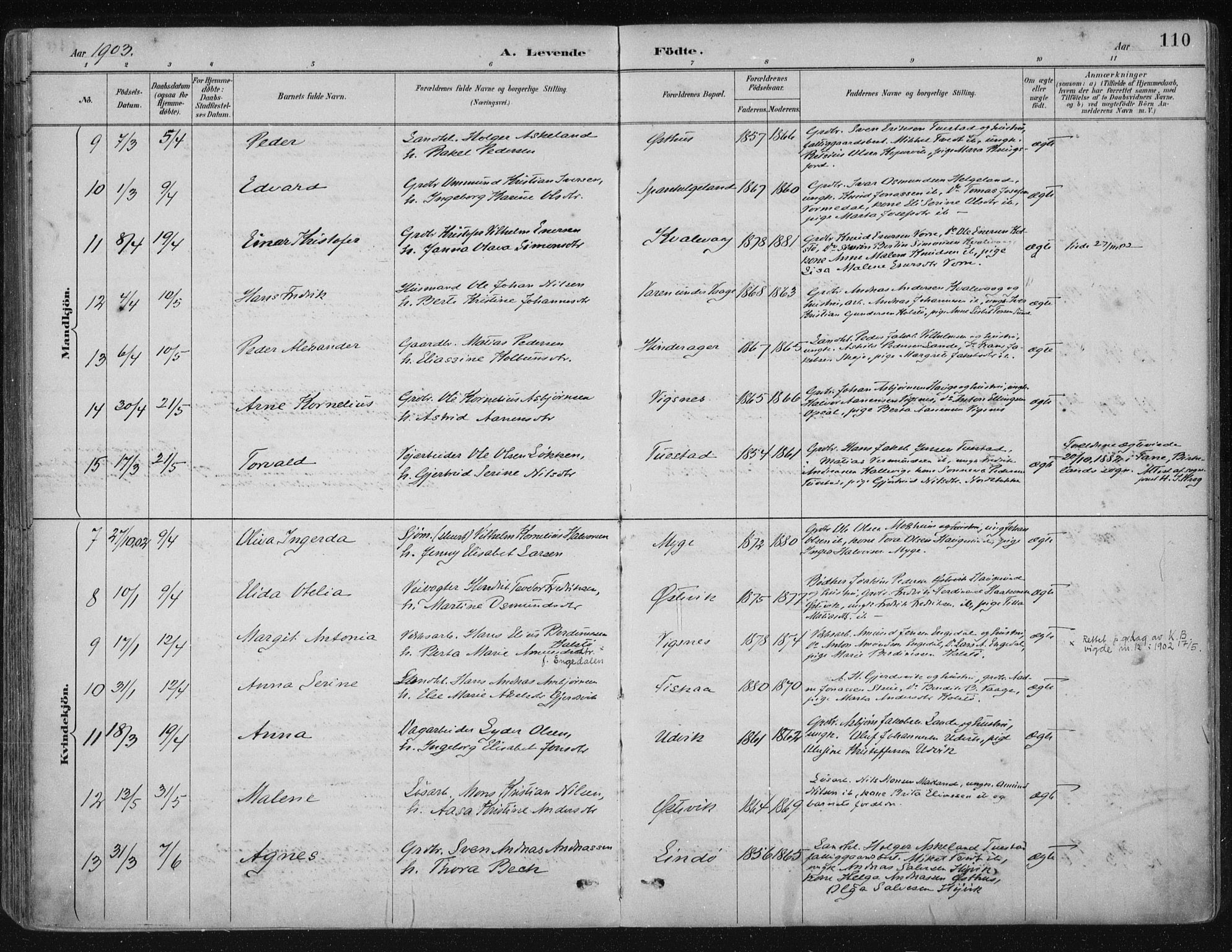 Avaldsnes sokneprestkontor, AV/SAST-A -101851/H/Ha/Haa/L0017: Parish register (official) no. A 17, 1889-1920, p. 110