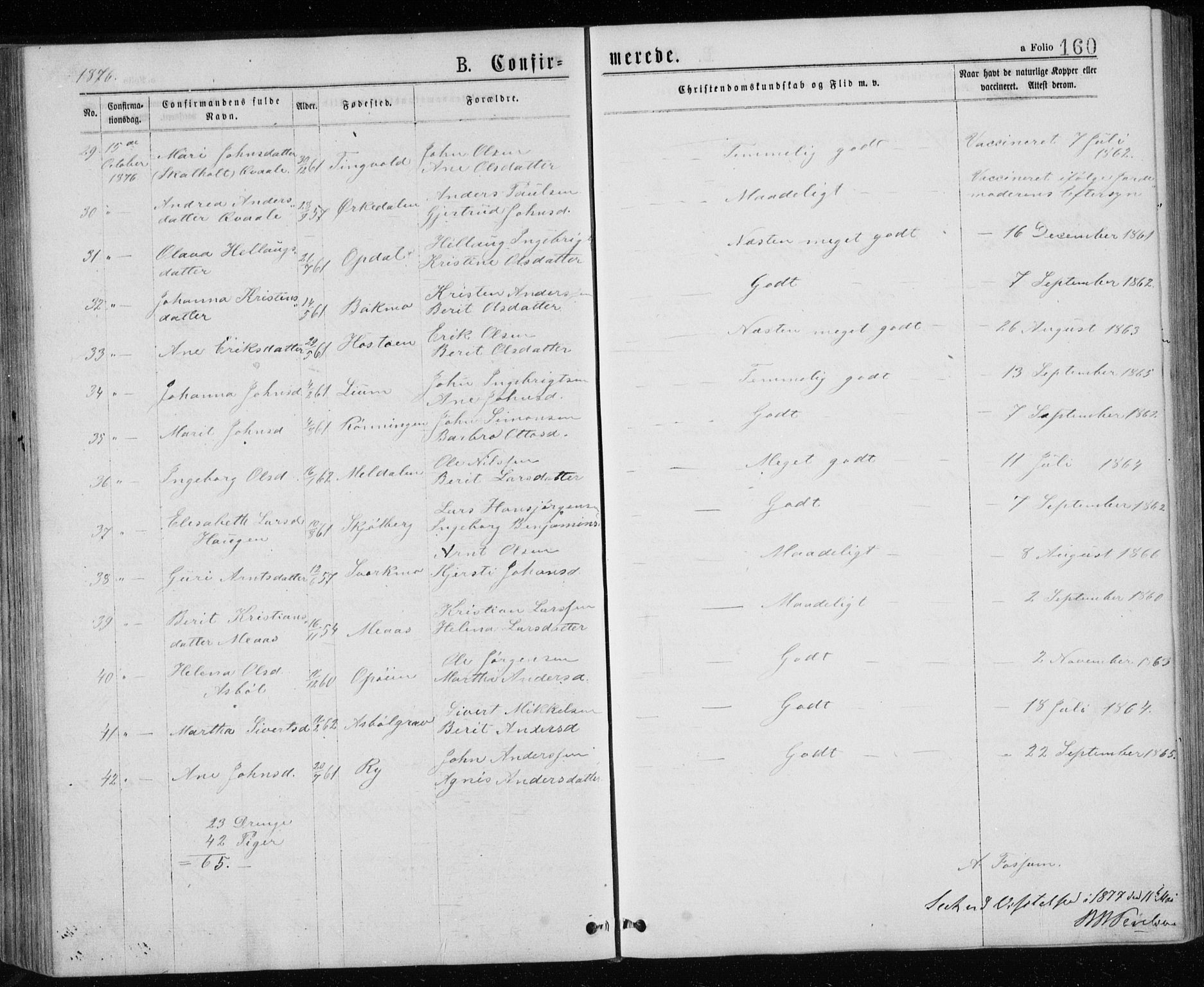 Ministerialprotokoller, klokkerbøker og fødselsregistre - Sør-Trøndelag, AV/SAT-A-1456/671/L0843: Parish register (copy) no. 671C02, 1873-1892, p. 160